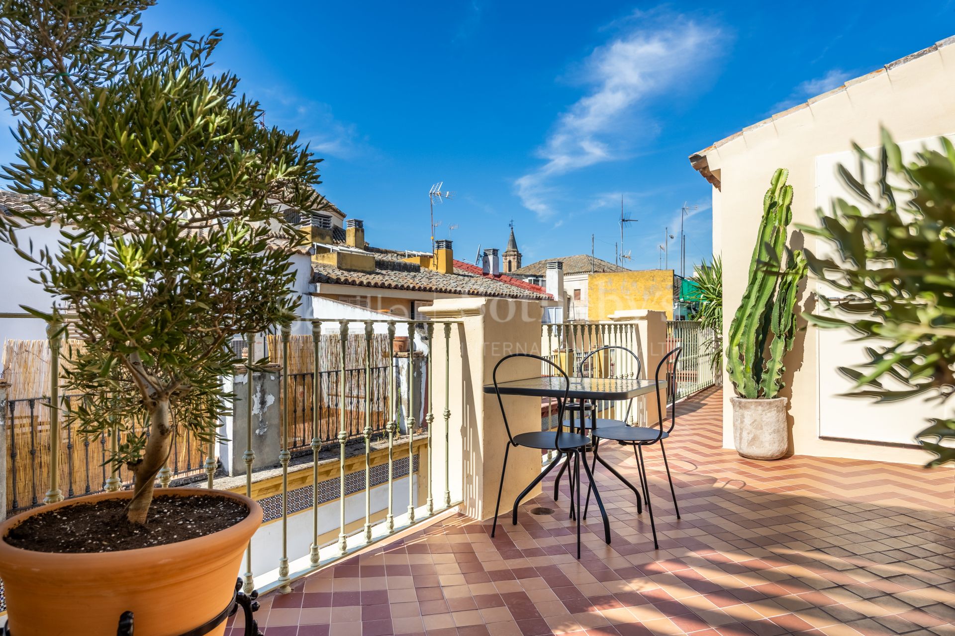 Vivienda singular con terraza y piscina con vistas al Palacio de los Marqueses de la Algaba