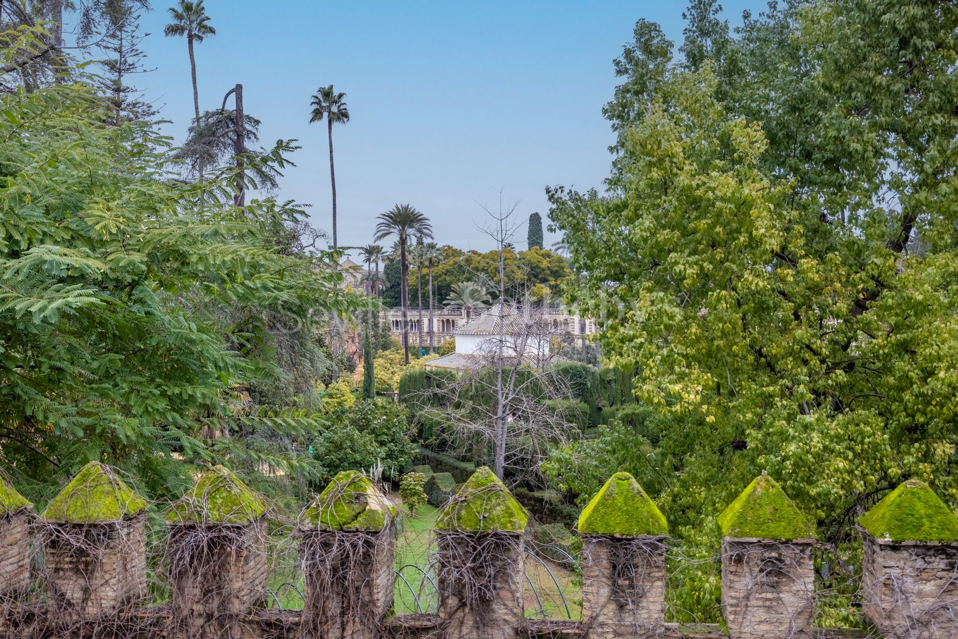 Exclusive duplex penthouse with panoramic terraces and privileged views of Seville