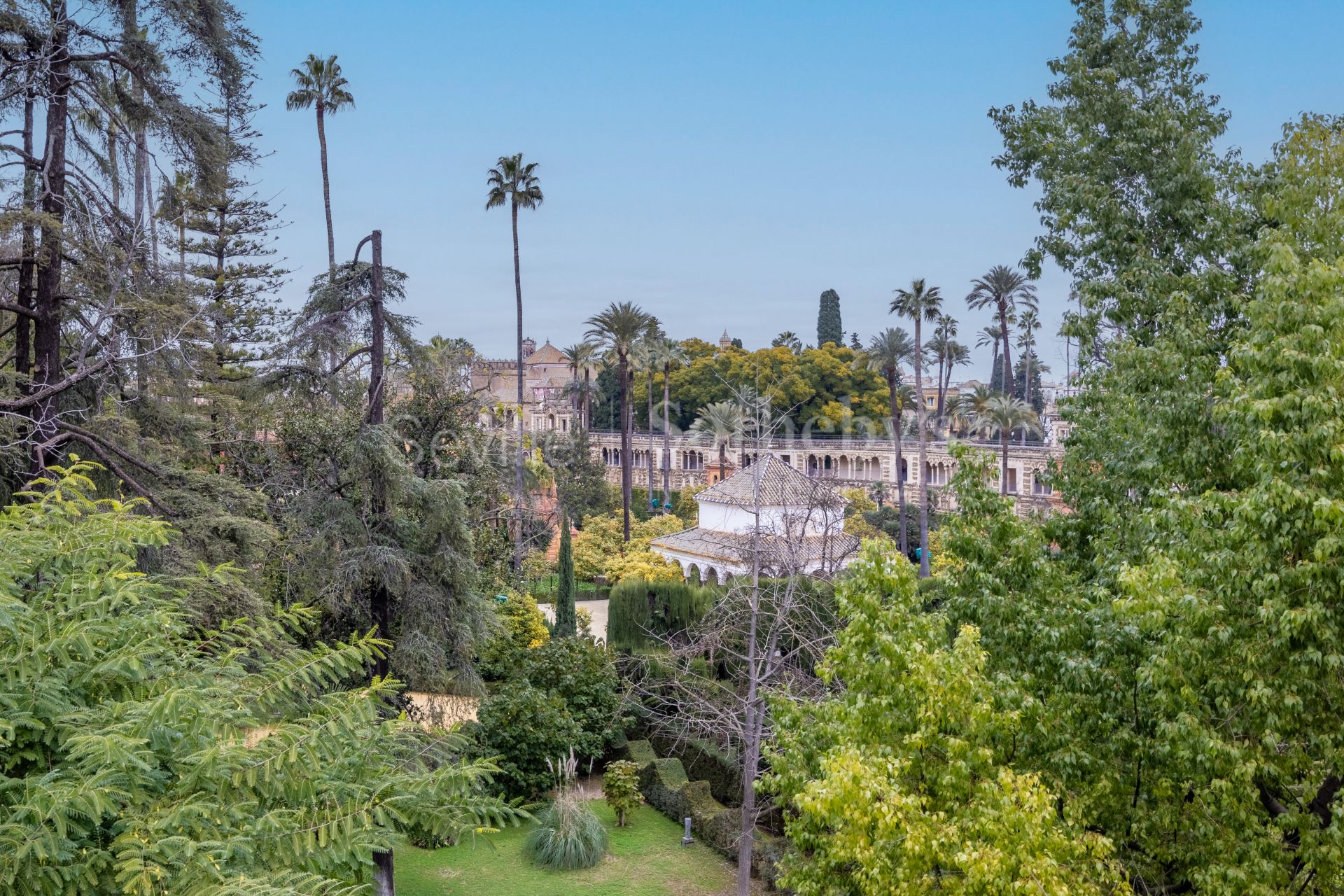 Exclusive duplex penthouse with panoramic terraces and privileged views of Seville
