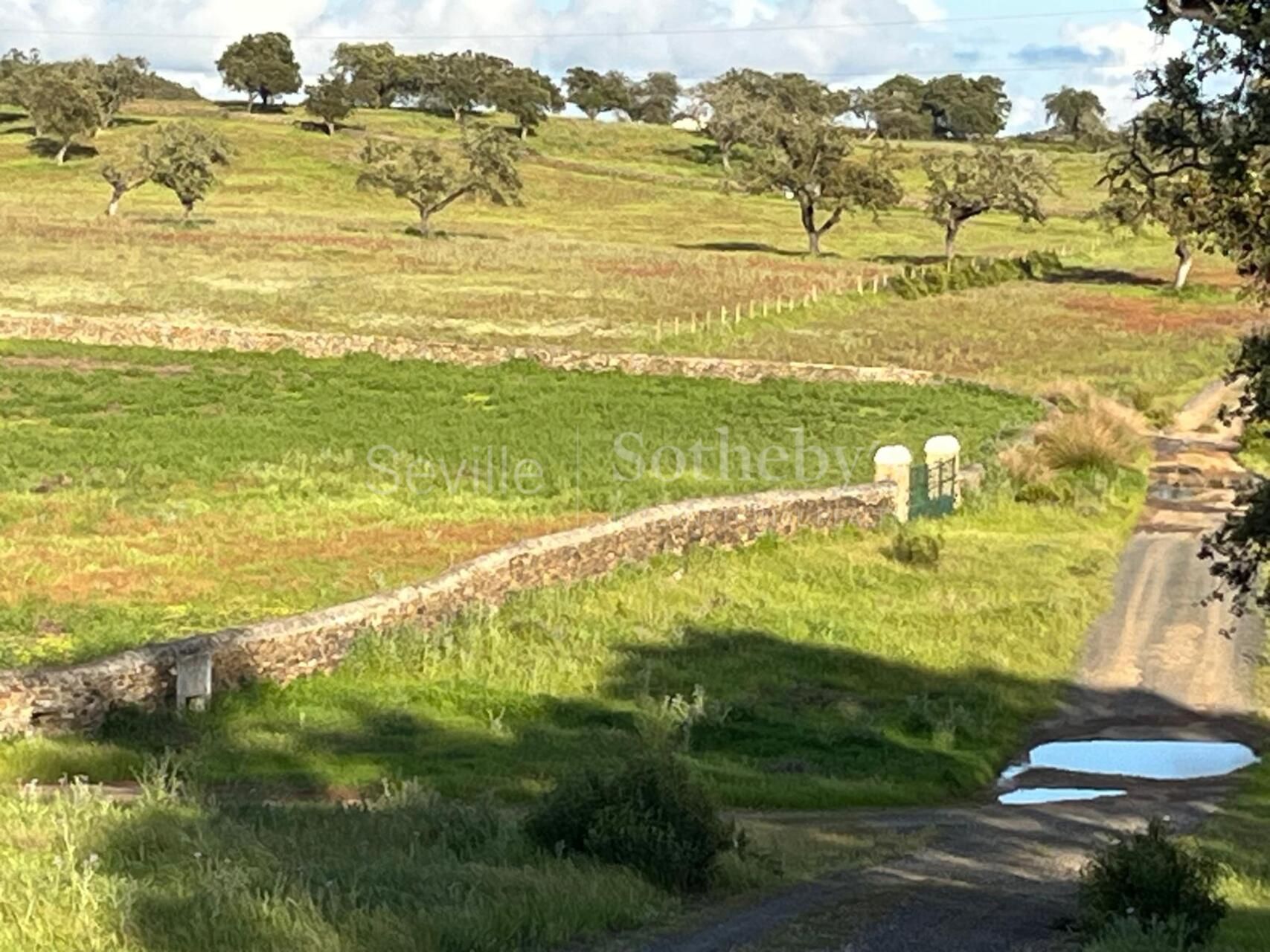 Finca rústica en el Andévalo onubense con 300 hectáreas