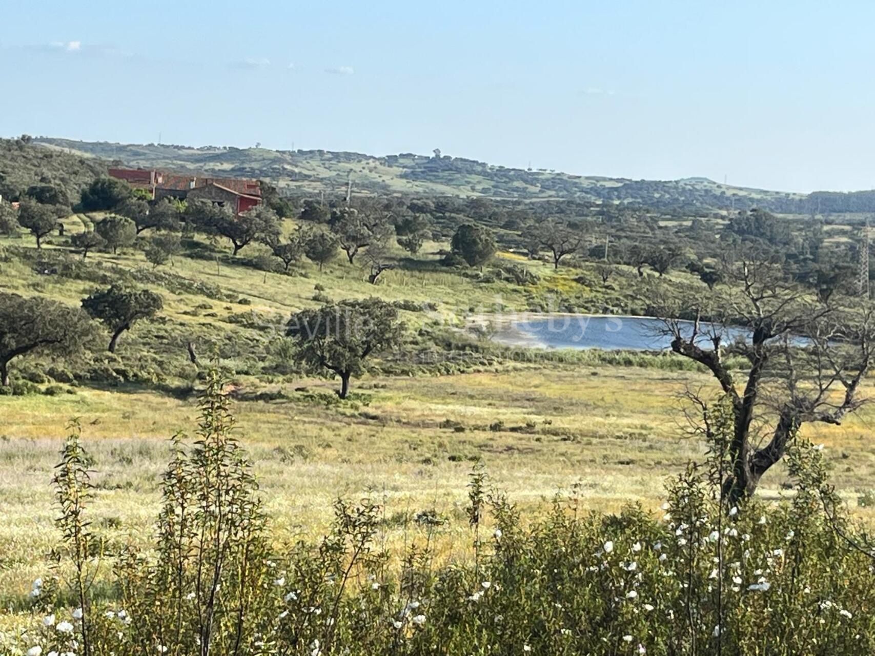 Finca rústica en el Andévalo onubense con 300 hectáreas