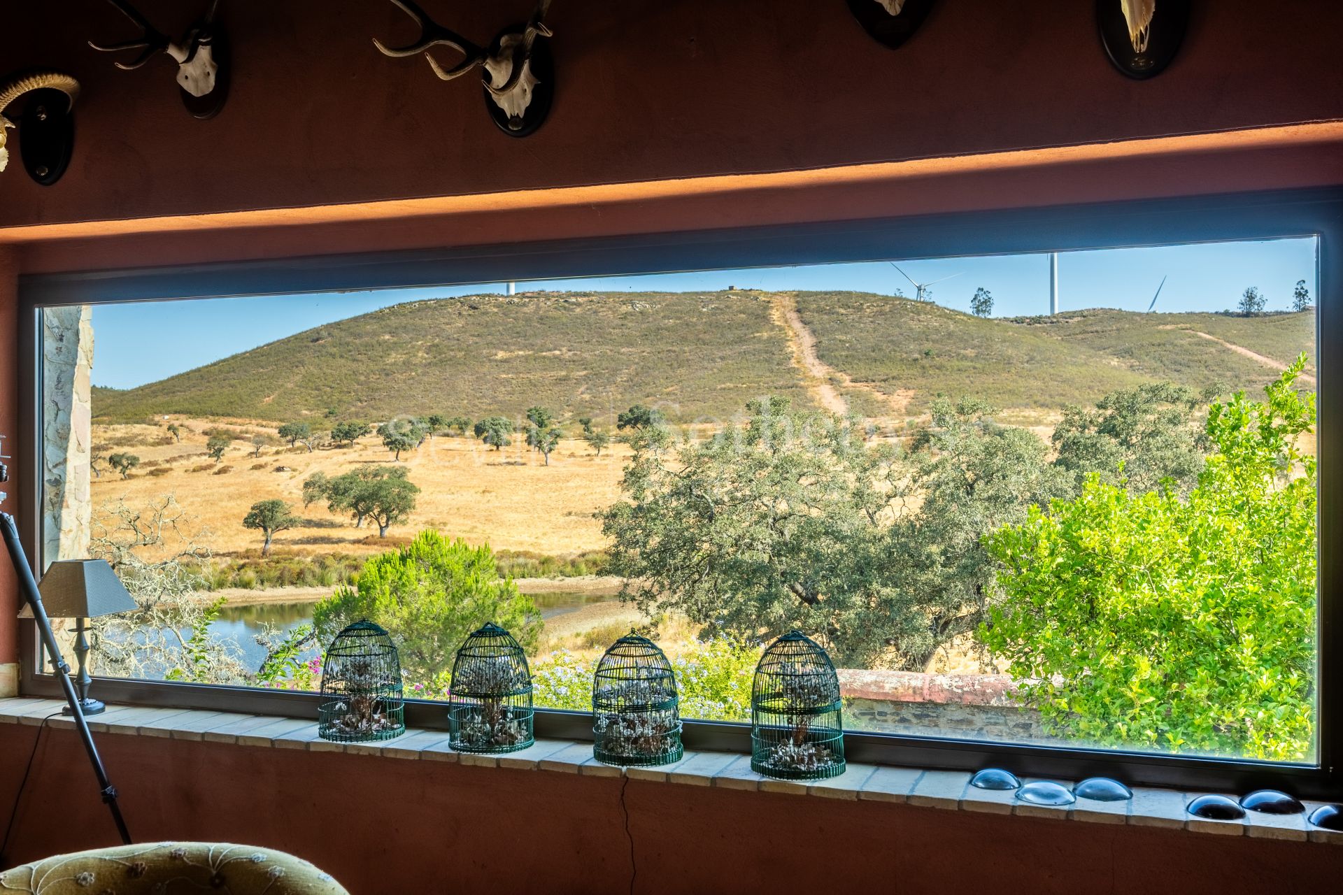 Finca rústica en el Andévalo onubense con 300 hectáreas