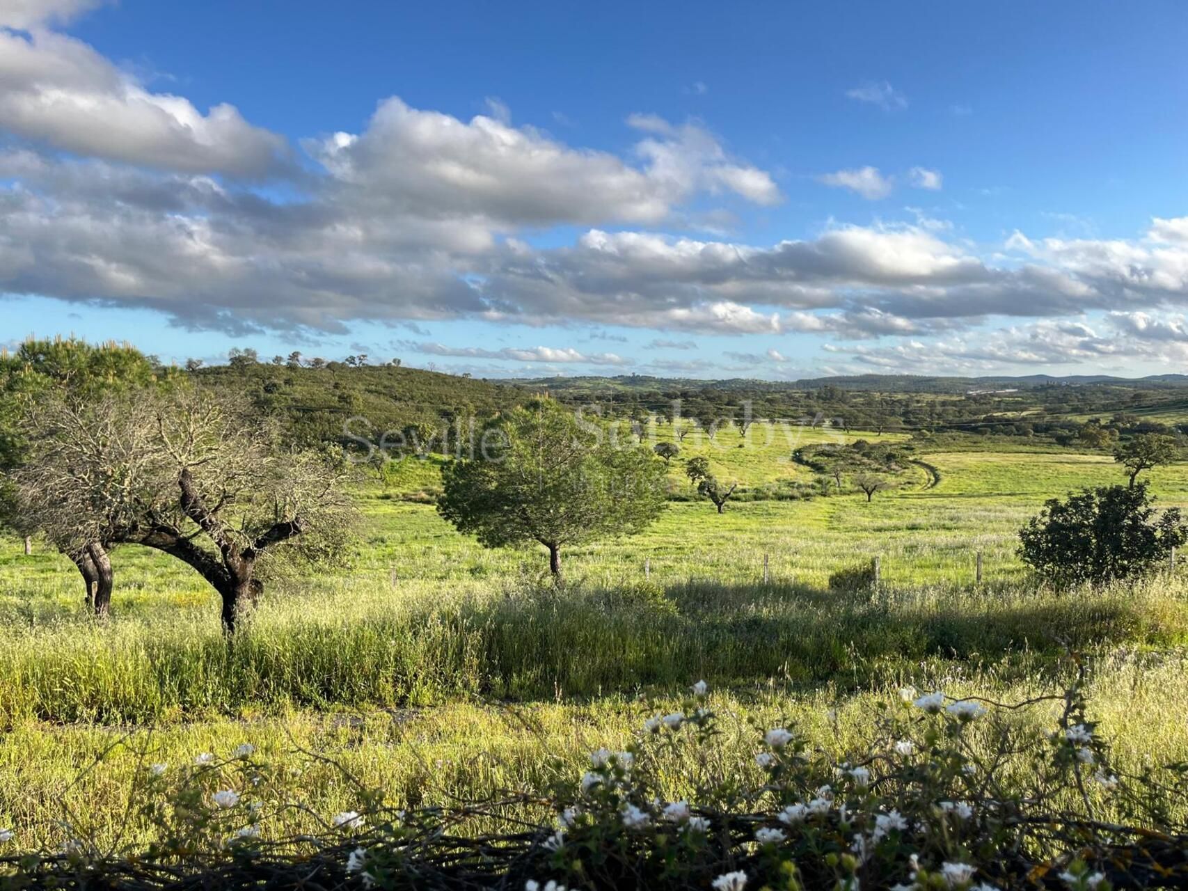 Finca rústica en el Andévalo onubense con 300 hectáreas
