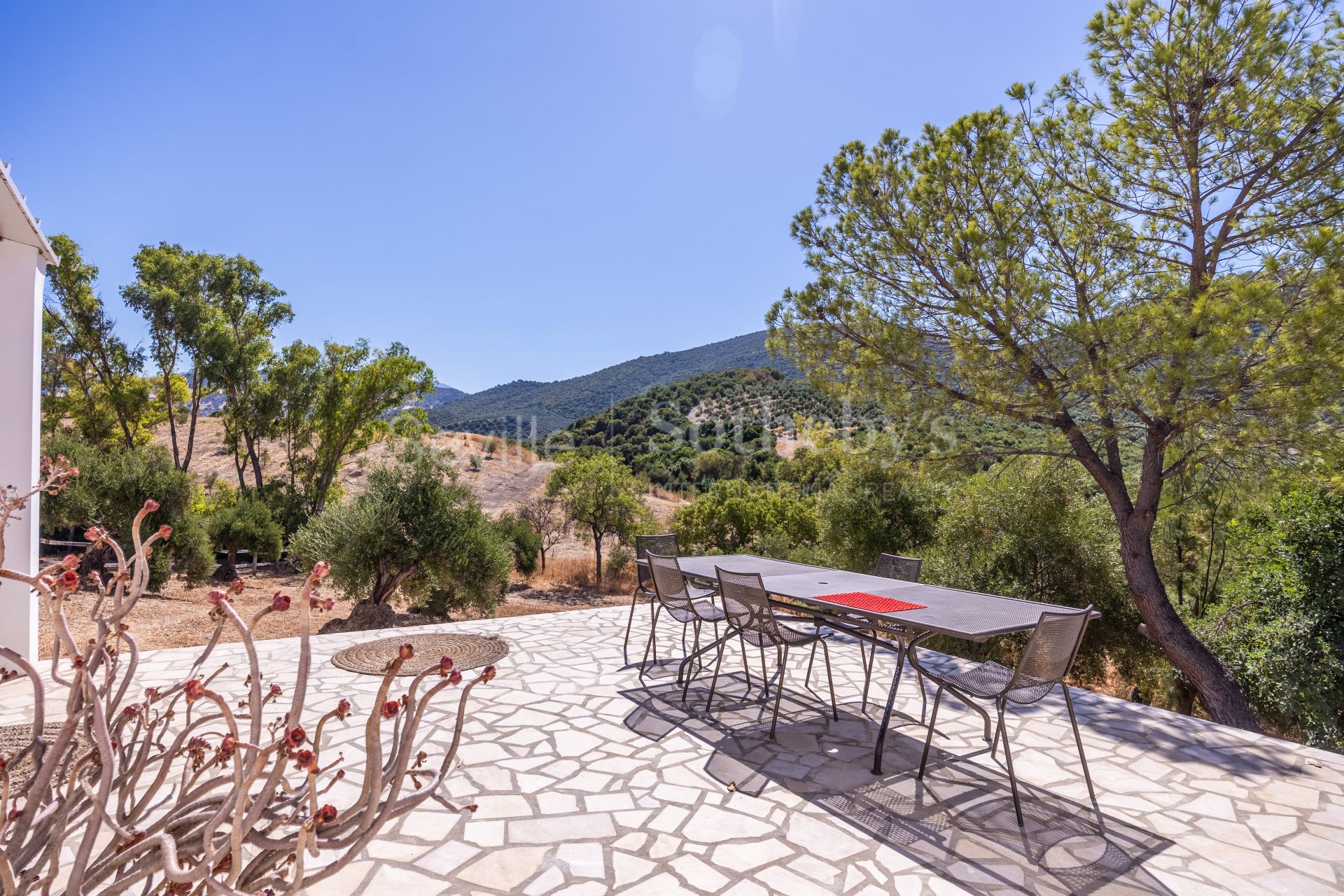 Finca Las Rosas de Santa Ana