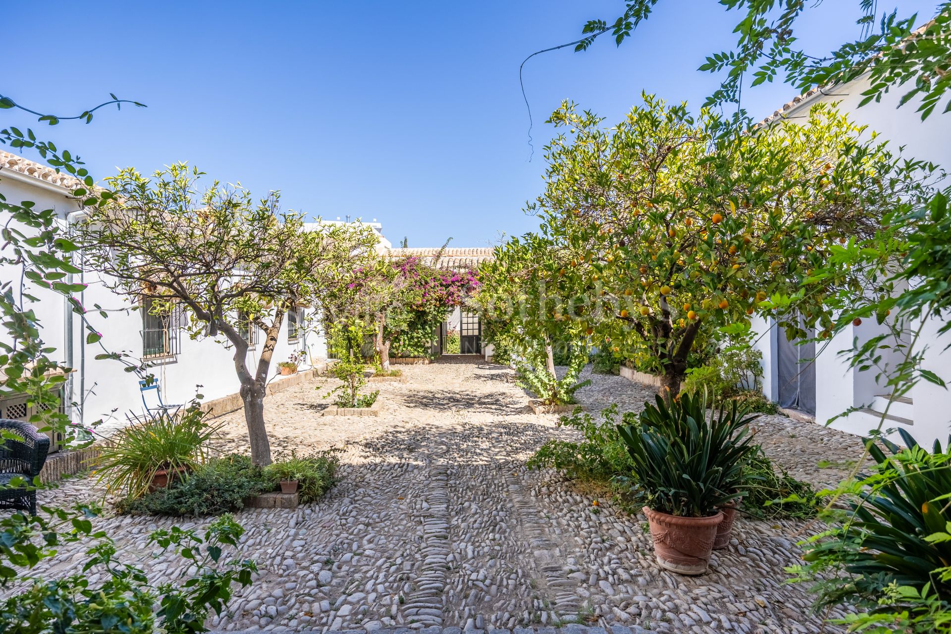 Finca Las Rosas de Santa Ana