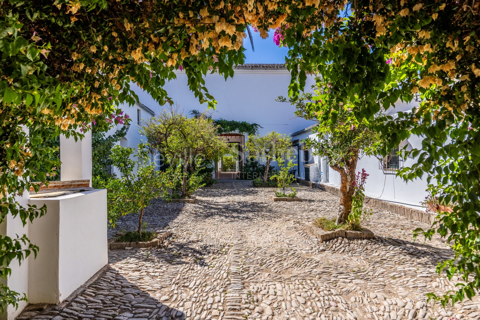 Finca Las Rosas de Santa Ana