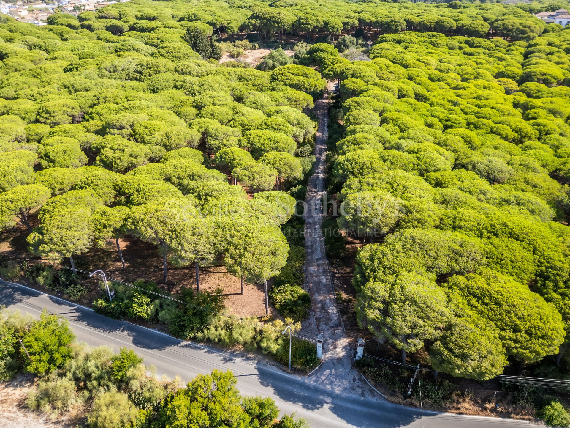 Las Arenas, finca rústica en El Puerto de Santa María