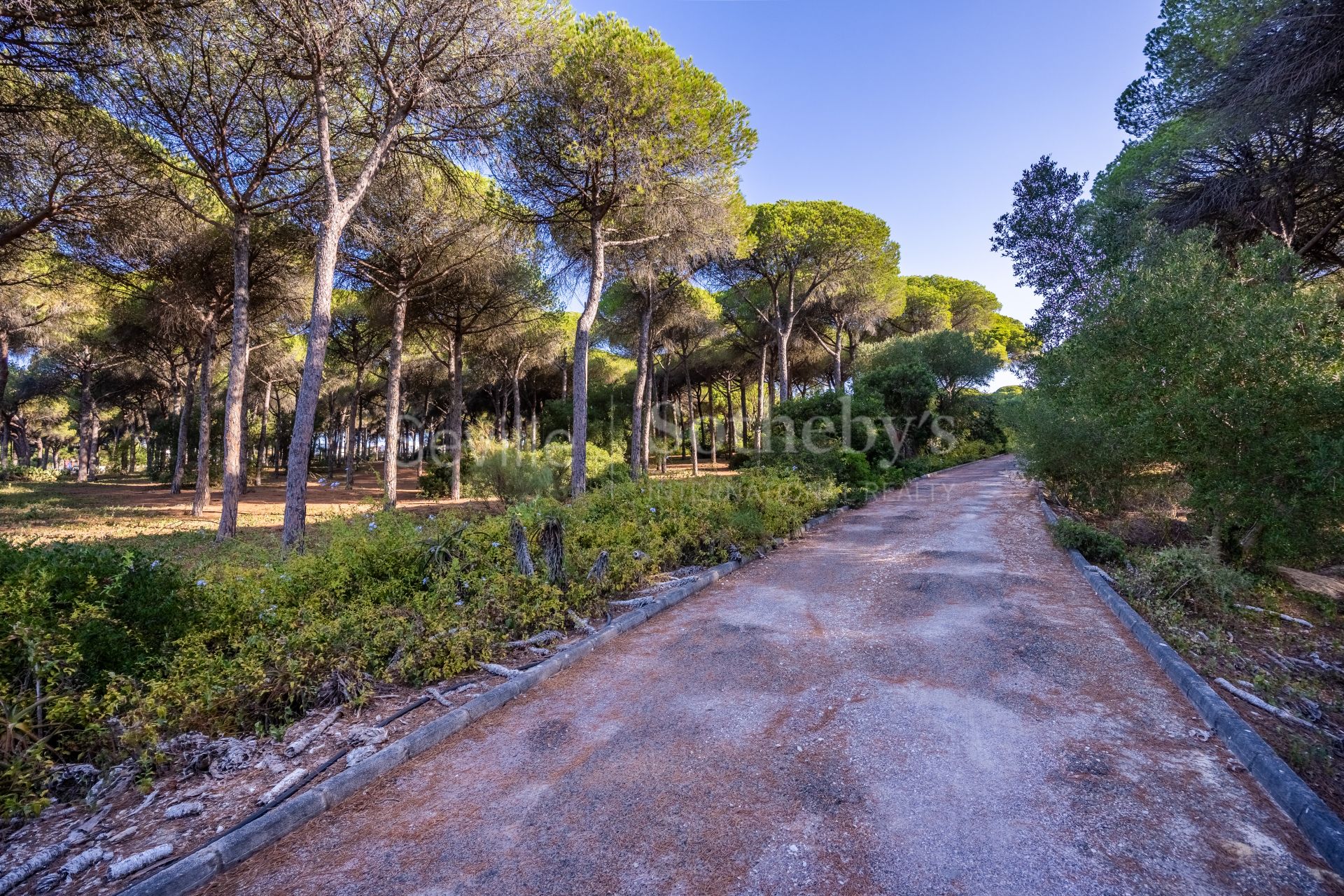 Las Arenas, finca rústica en El Puerto de Santa María