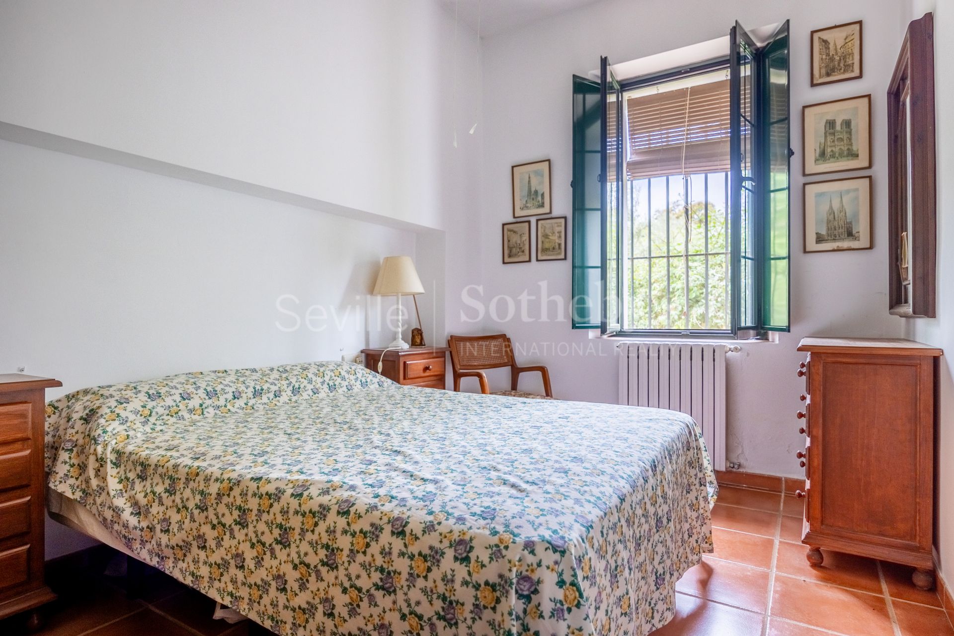 Finca de olivar ecológico en el Parque Natural de la Sierra Norte de Sevilla