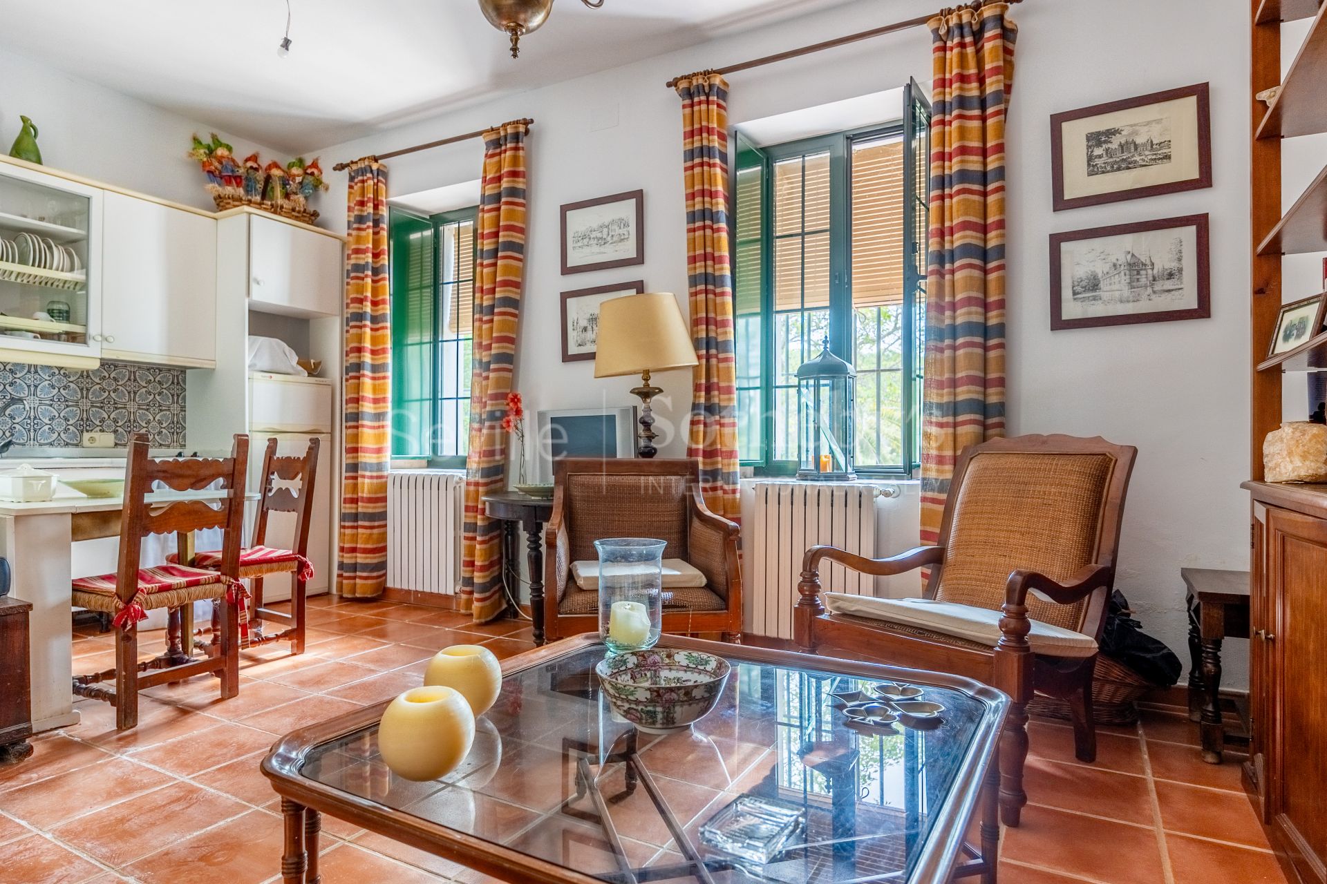 Finca de olivar ecológico en el Parque Natural de la Sierra Norte de Sevilla