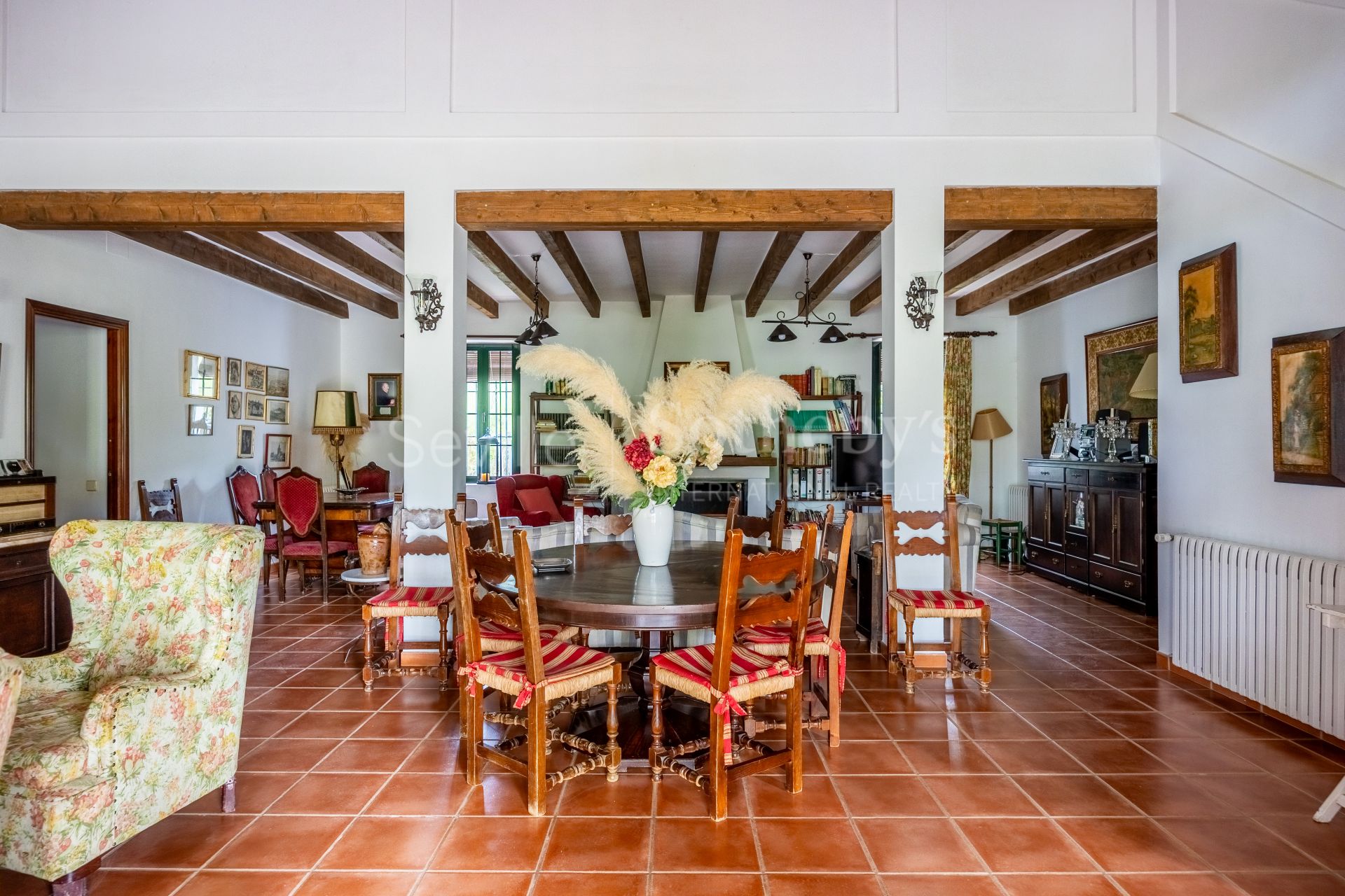 Finca de olivar ecológico en el Parque Natural de la Sierra Norte de Sevilla