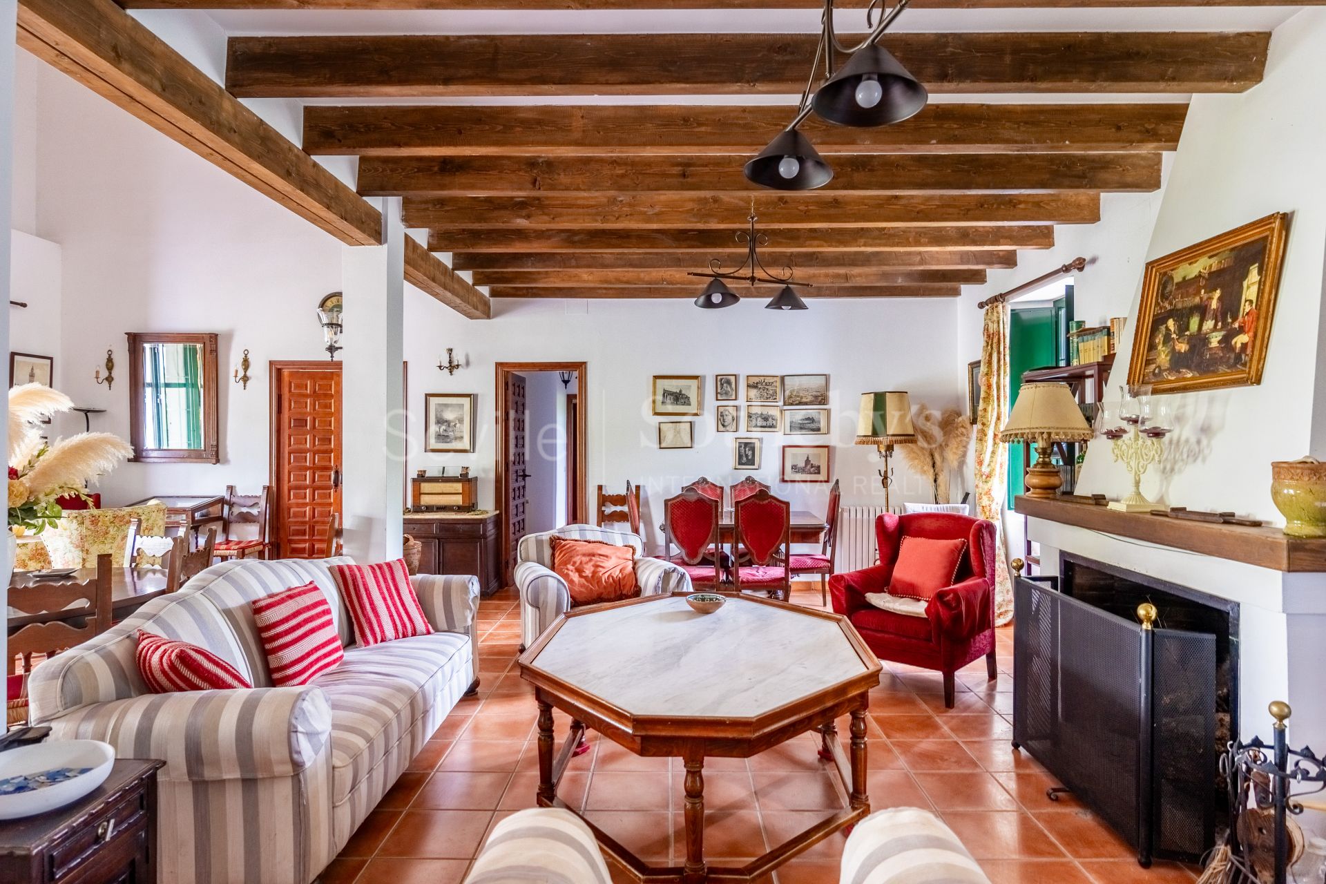 Finca de olivar ecológico en el Parque Natural de la Sierra Norte de Sevilla