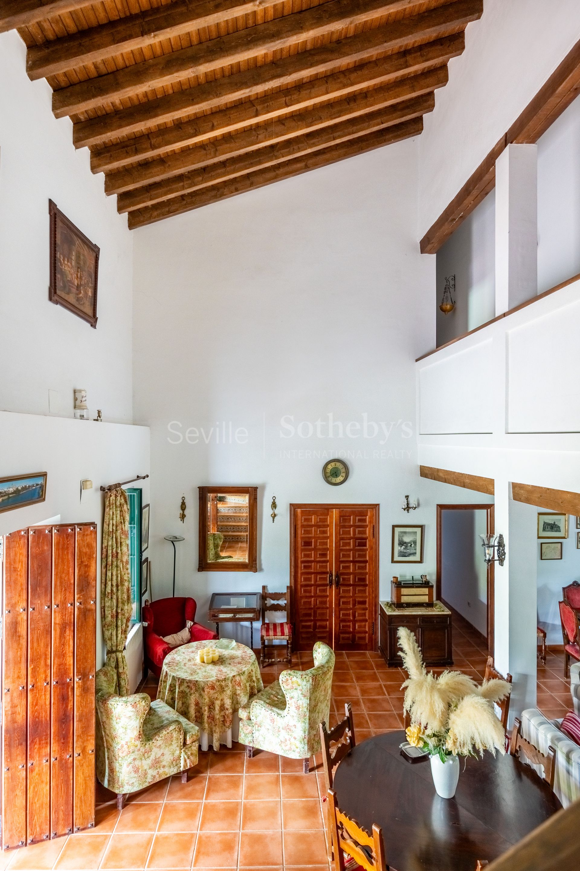 Finca de olivar ecológico en el Parque Natural de la Sierra Norte de Sevilla