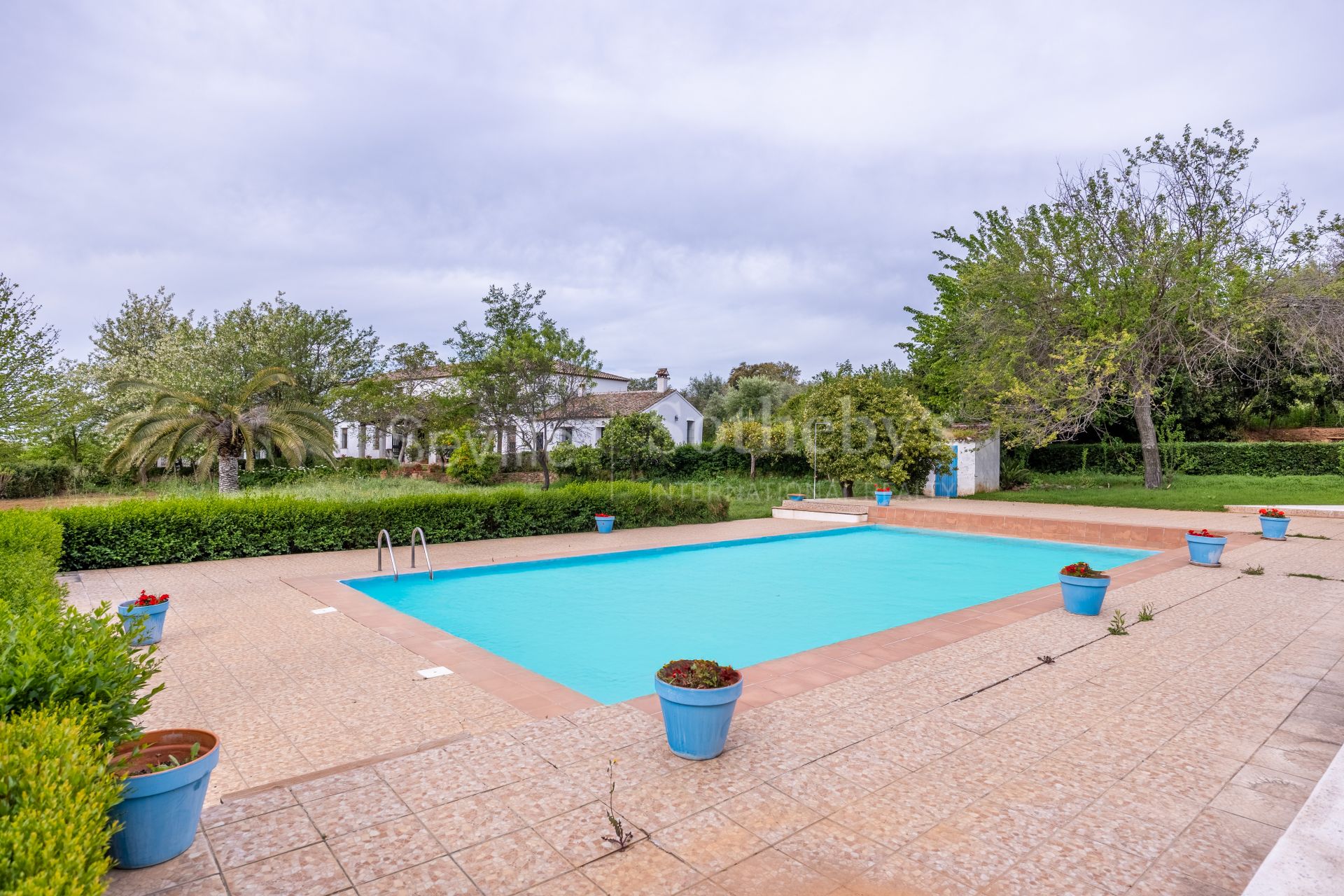 Finca de olivar ecológico en el Parque Natural de la Sierra Norte de Sevilla