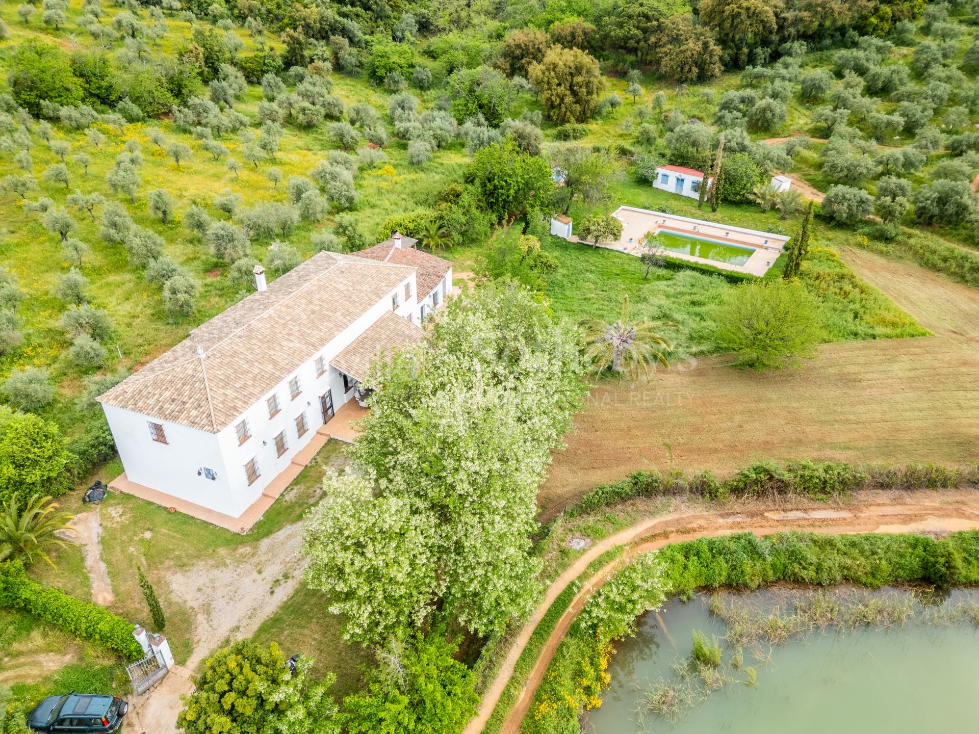 Finca de olivar ecológico en el Parque Natural de la Sierra Norte de Sevilla