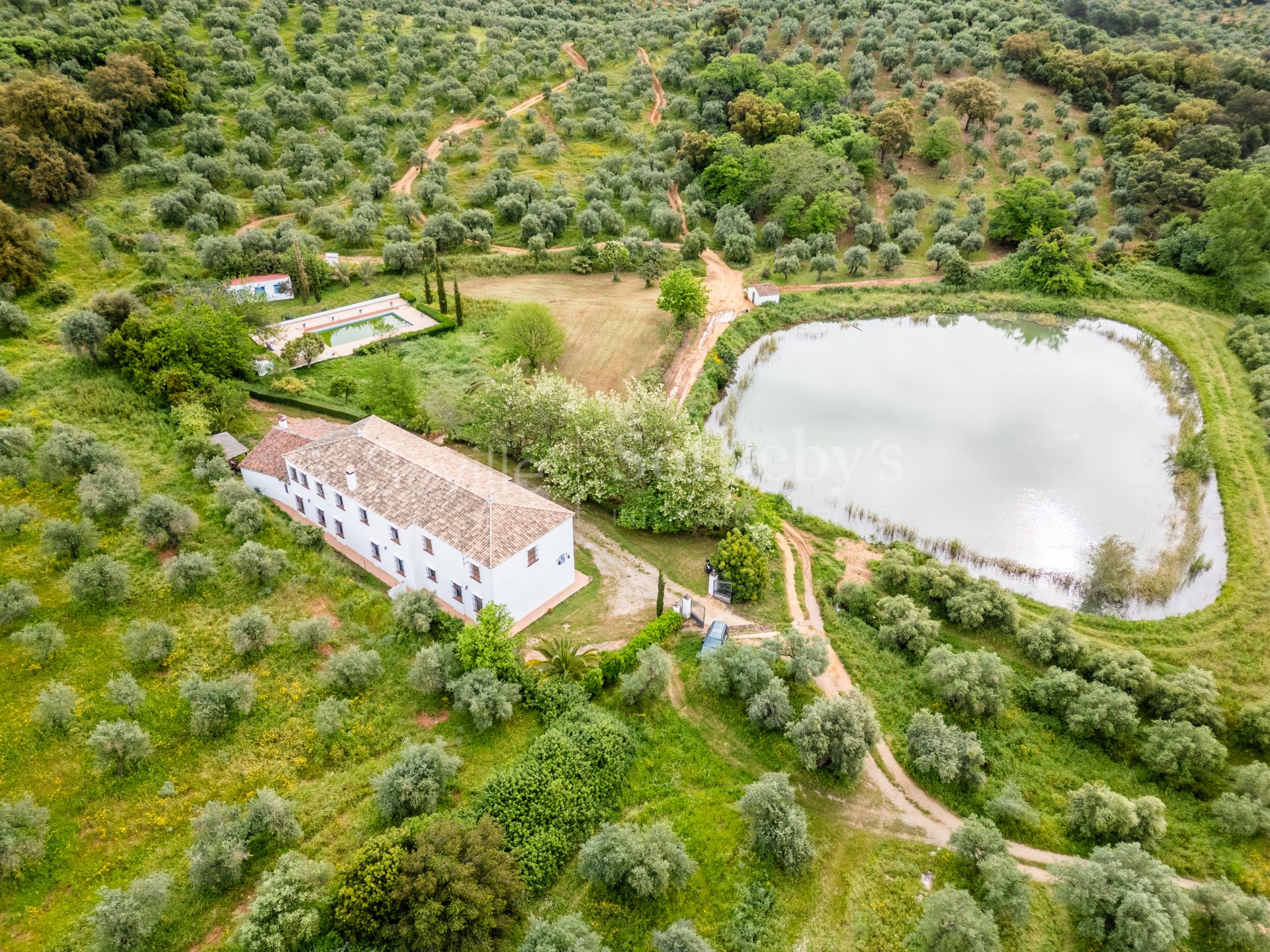 Finca de olivar ecológico en el Parque Natural de la Sierra Norte de Sevilla