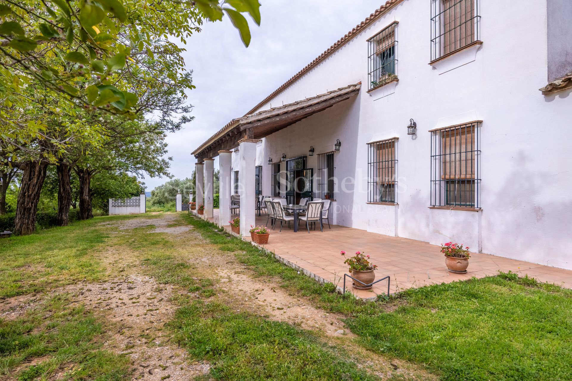 Finca de olivar ecológico en el Parque Natural de la Sierra Norte de Sevilla