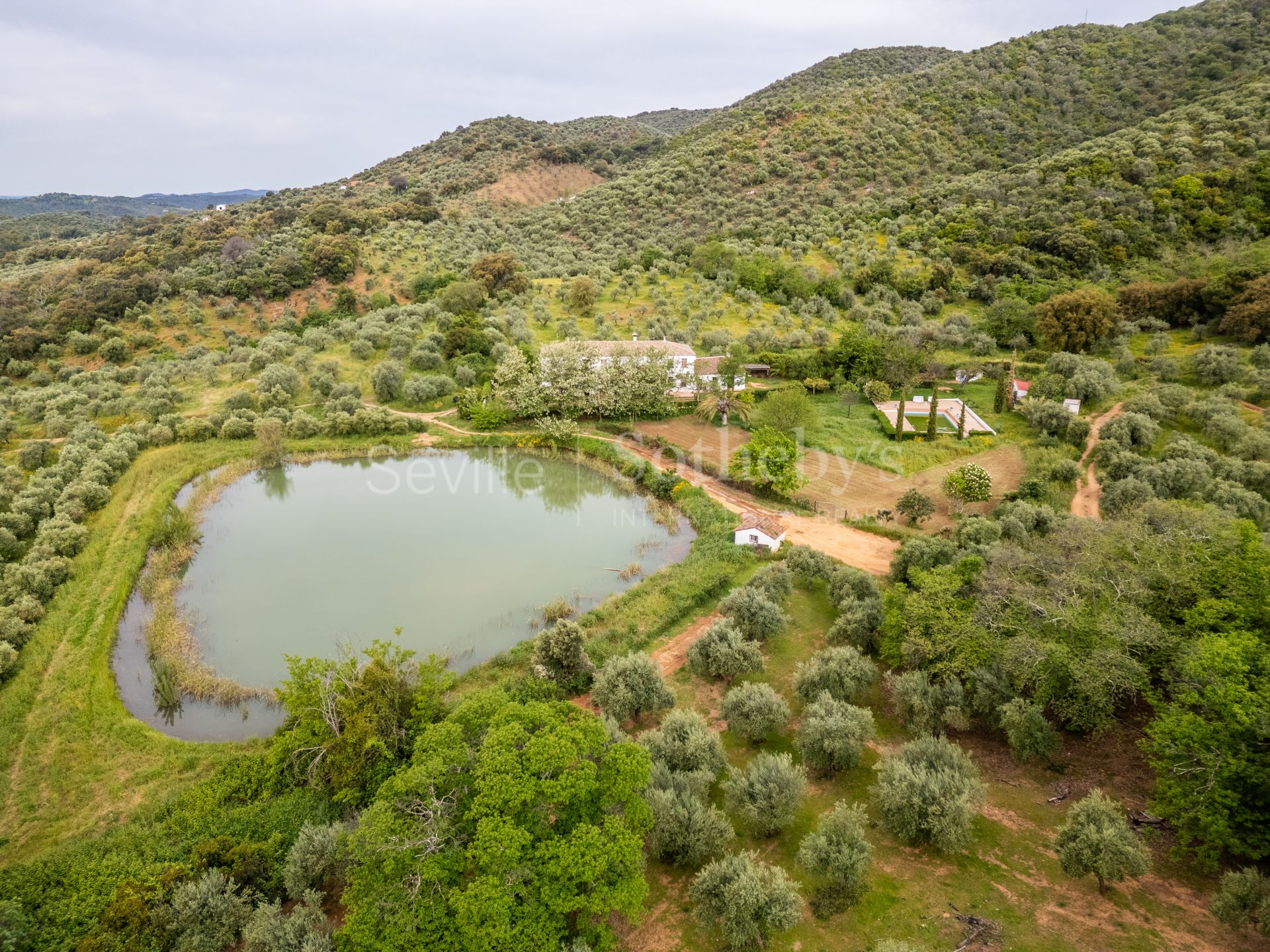 Finca de olivar ecológico en el Parque Natural de la Sierra Norte de Sevilla
