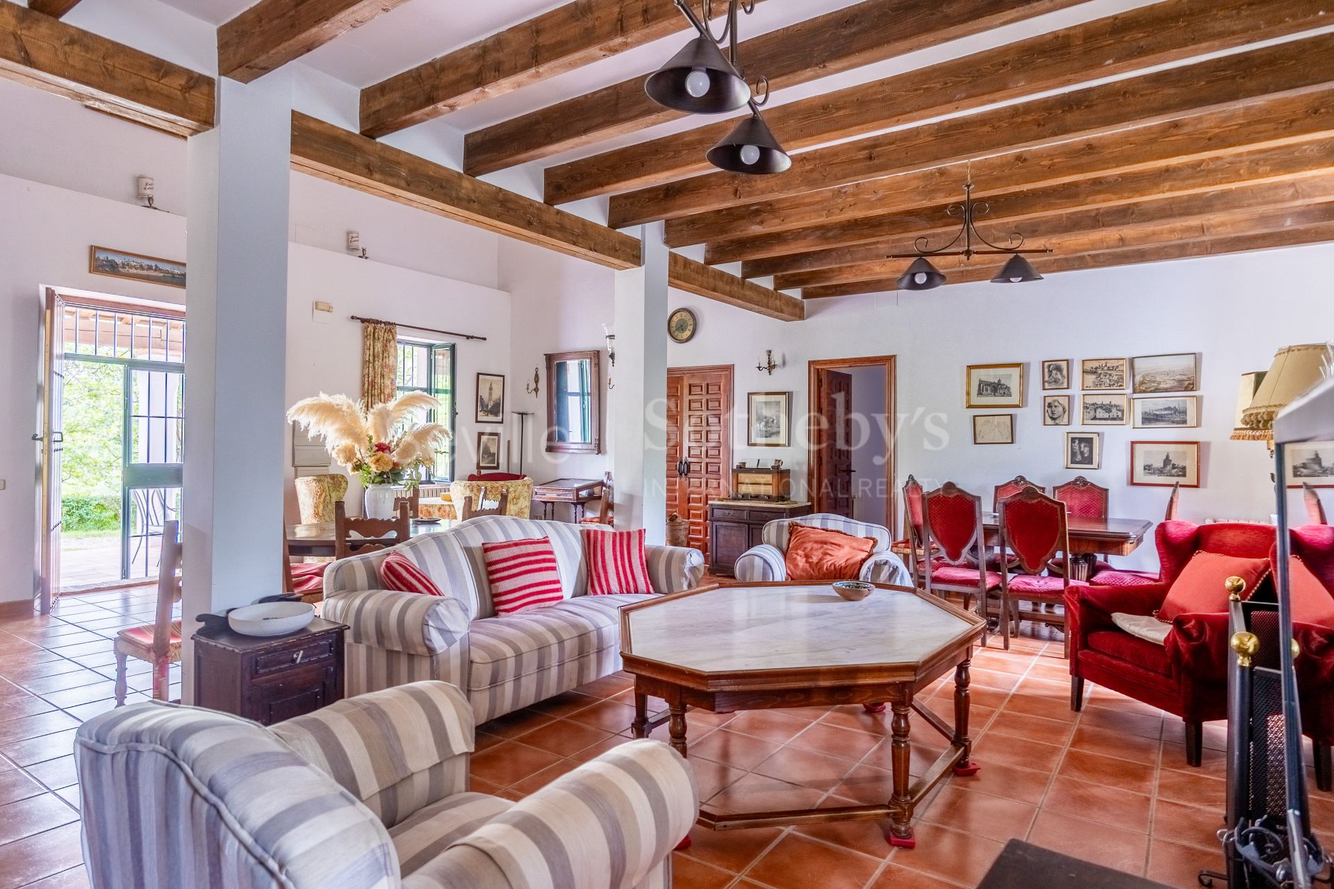 Finca de olivar ecológico en el Parque Natural de la Sierra Norte de Sevilla