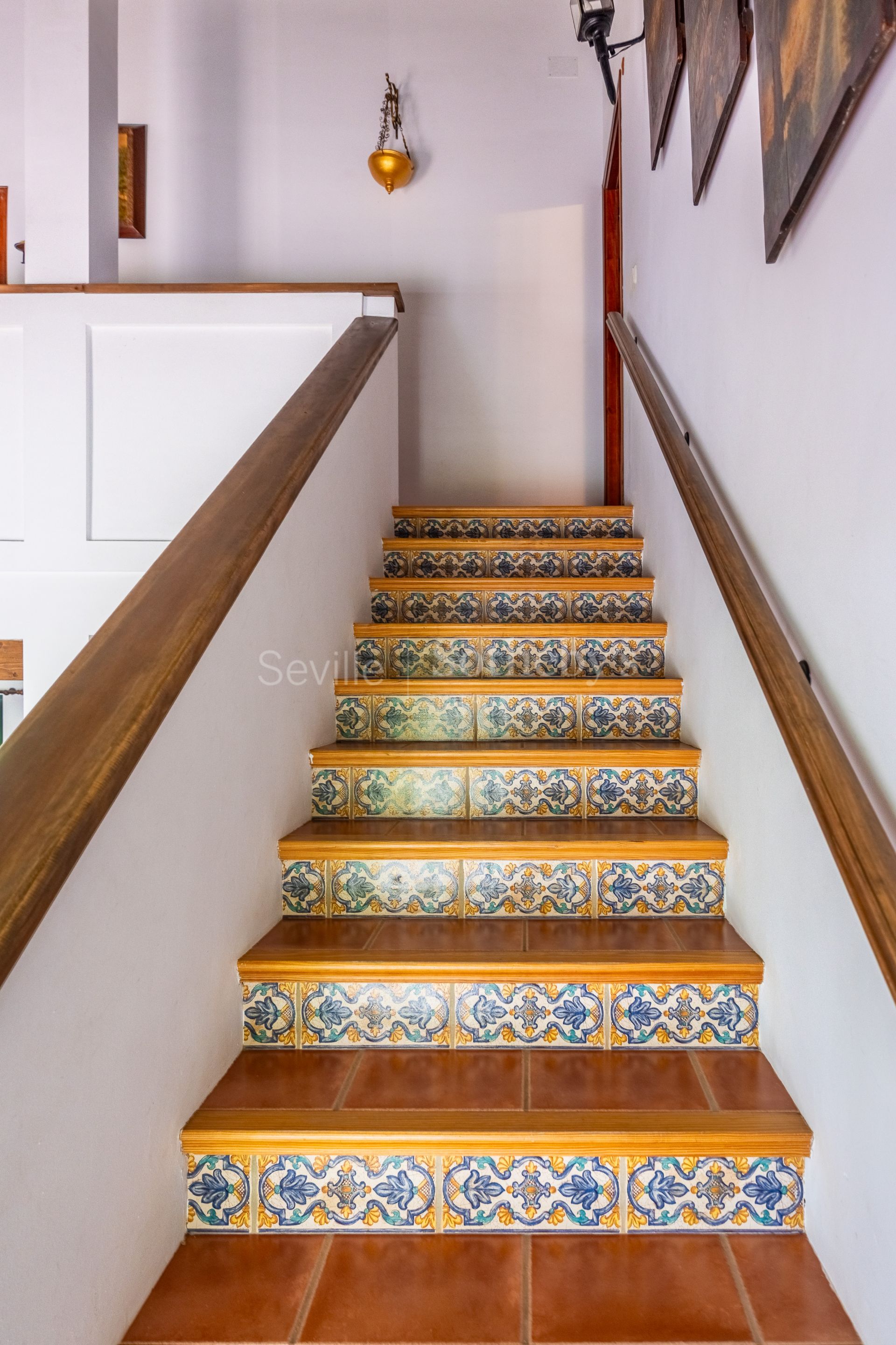 Finca de olivar ecológico en el Parque Natural de la Sierra Norte de Sevilla