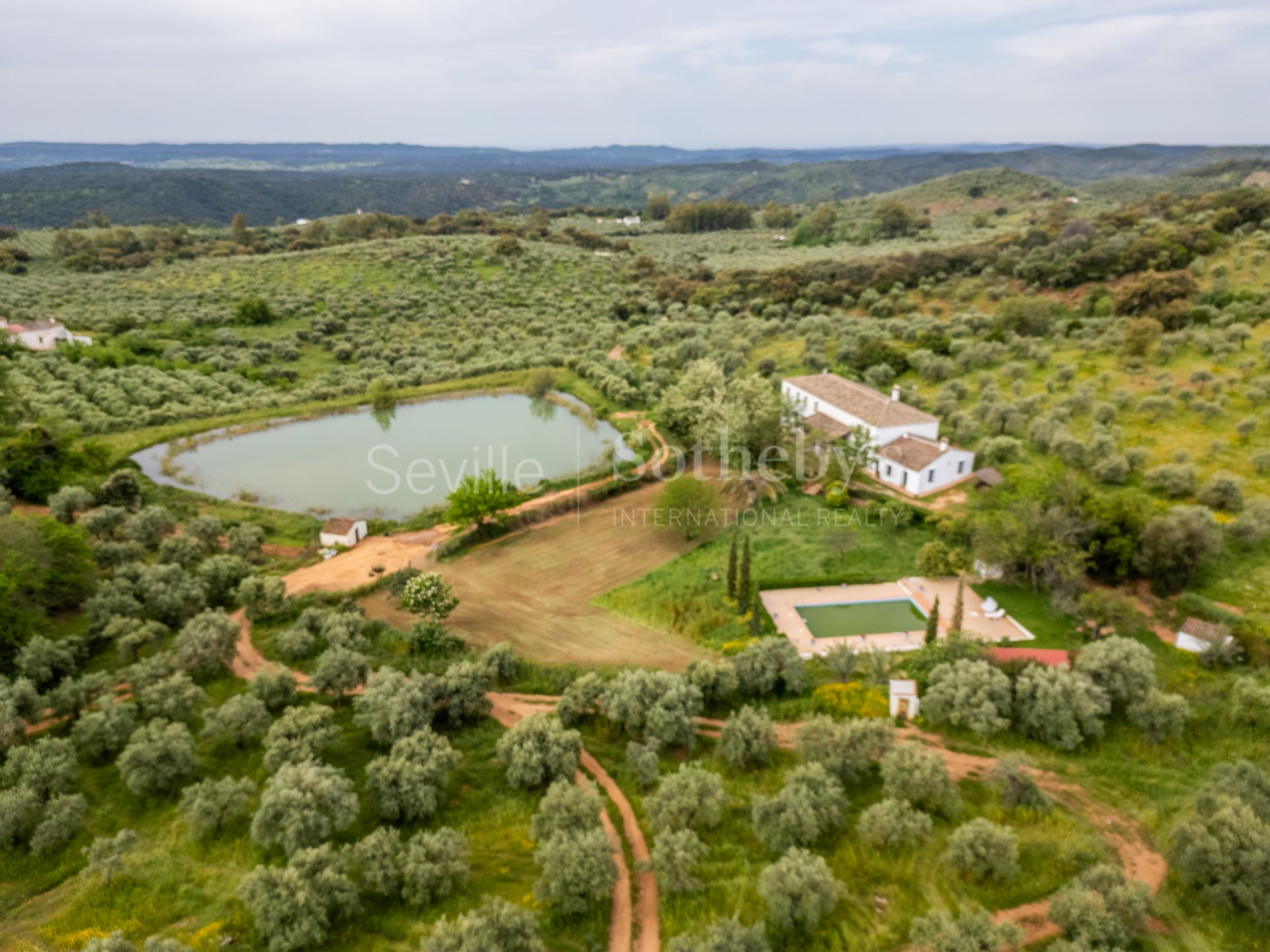 Finca de olivar ecológico en el Parque Natural de la Sierra Norte de Sevilla