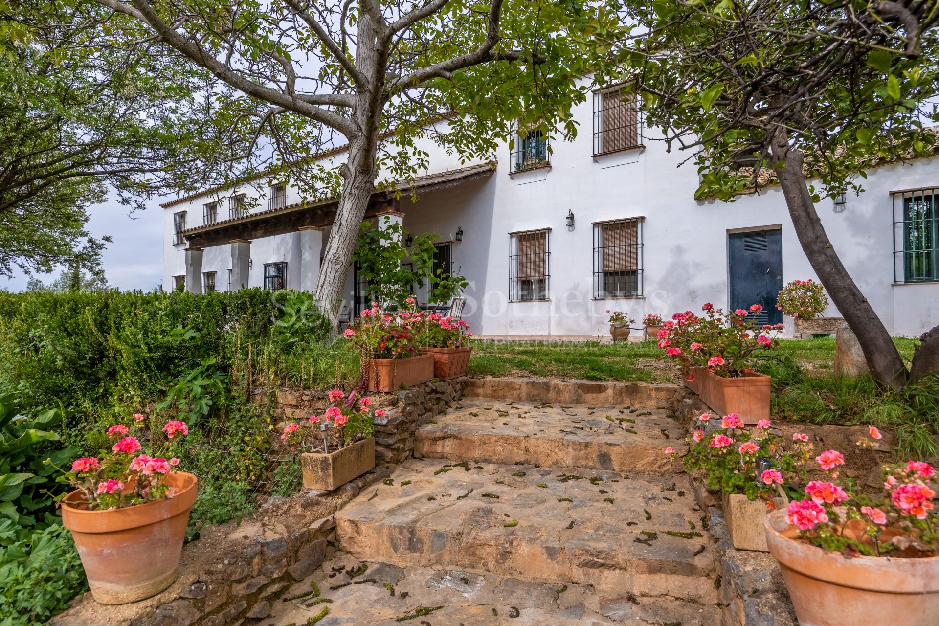 Finca de olivar ecológico en el Parque Natural de la Sierra Norte de Sevilla