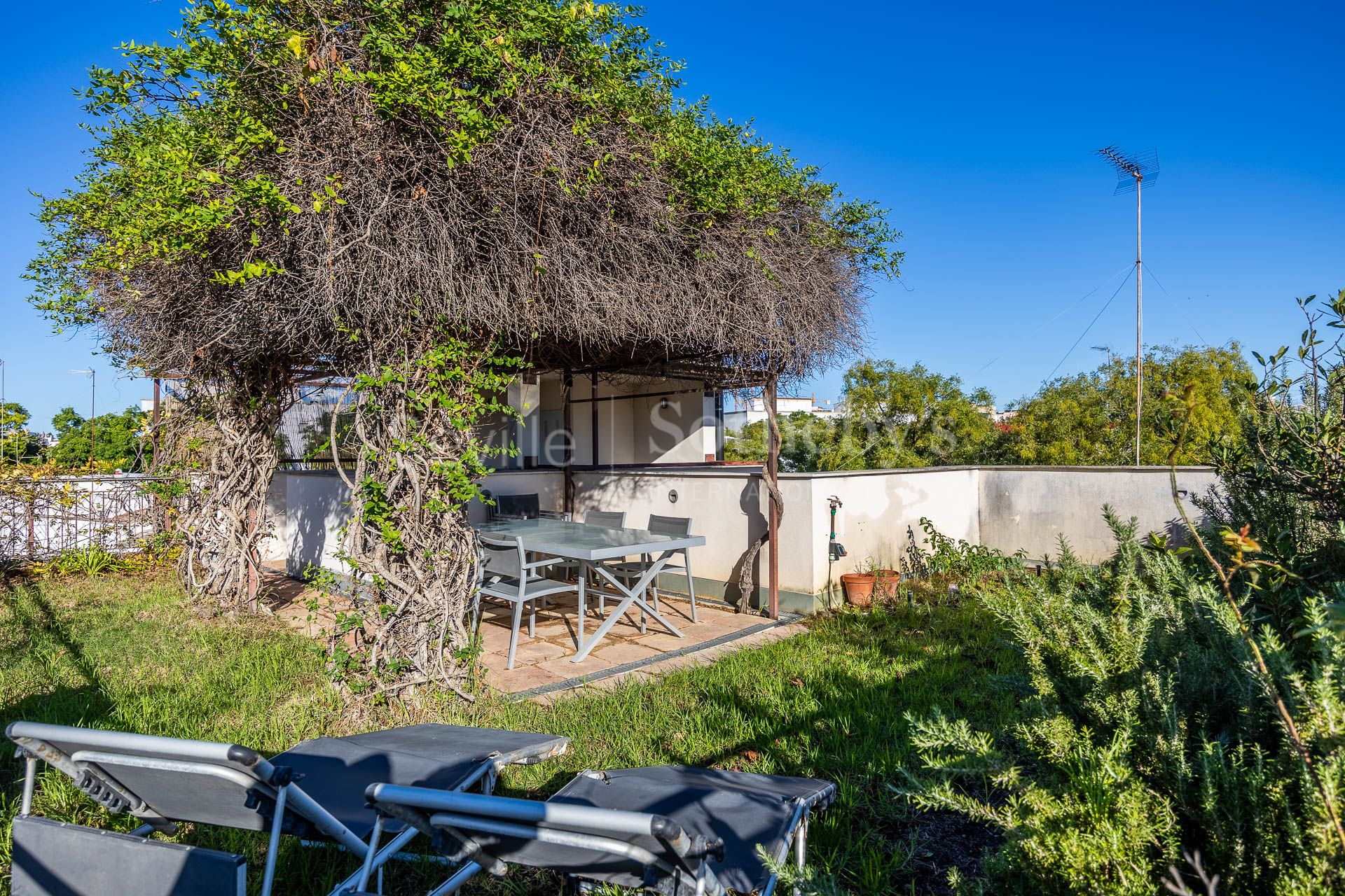 Casa exclusiva con terraza en La Barriada España