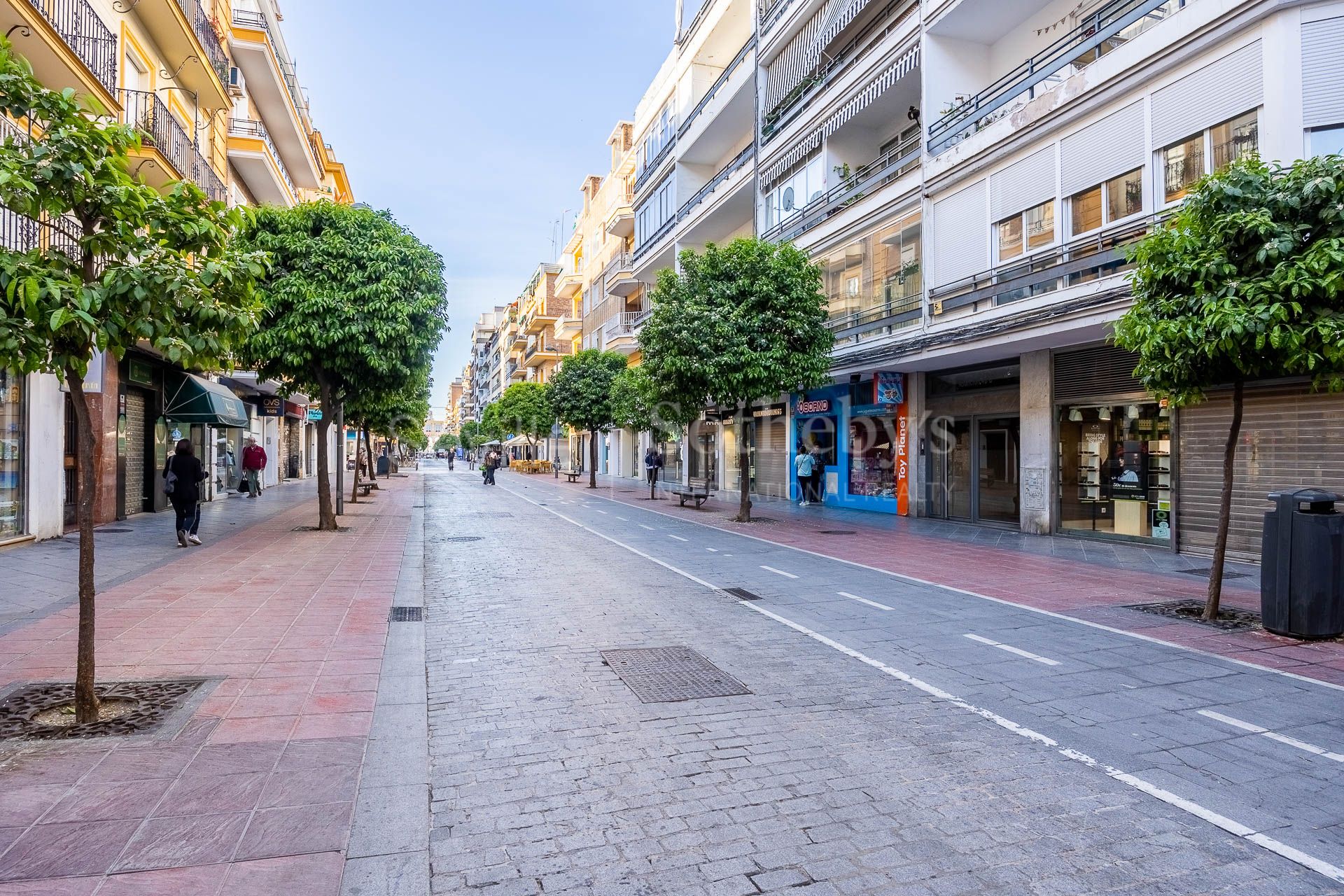 Local comercial con escaparate en Los Remedios