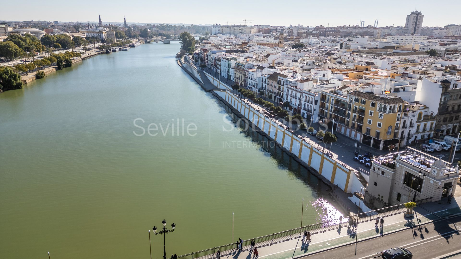 Apartment with views of the Triana Bridge, Altozano, the Cathedral, and the Torre del Oro.