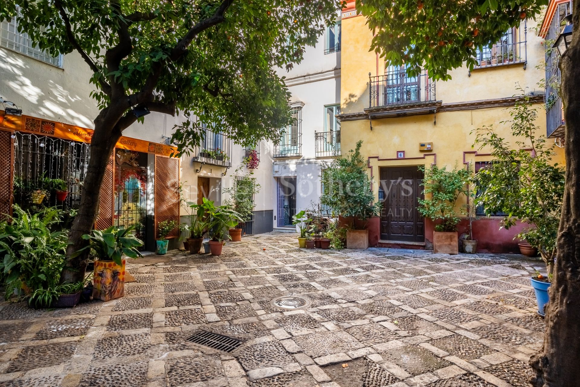 Casa sevillana con licencia turística y vistas a la Catedral