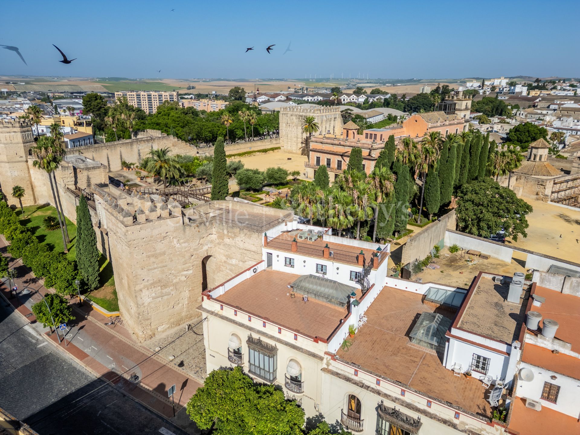 Architectural gem by Teodoro Anasagasti Next to the Alcázar of Jerez