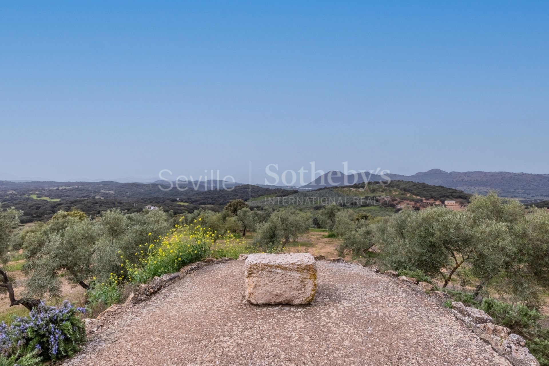Estate with agricultural exploitation and tourist license in the Antequera region