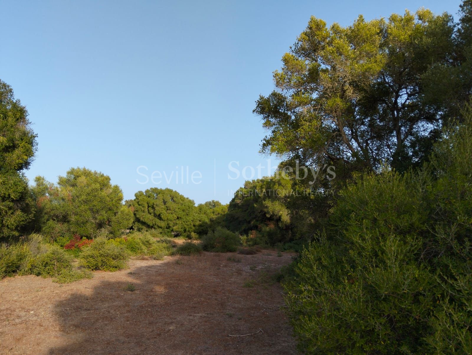 Estate in Medina Sidonia