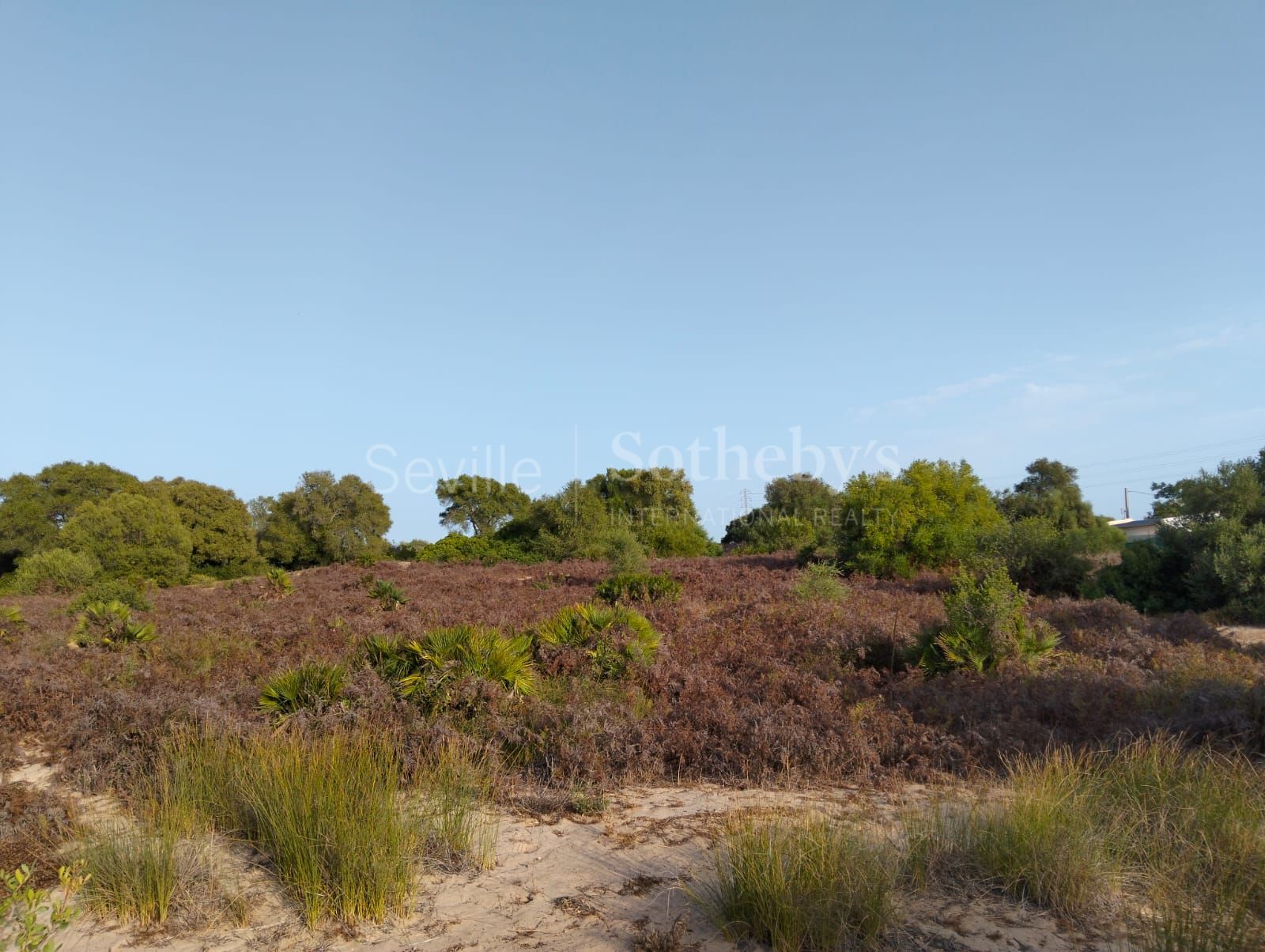 Estate in Medina Sidonia