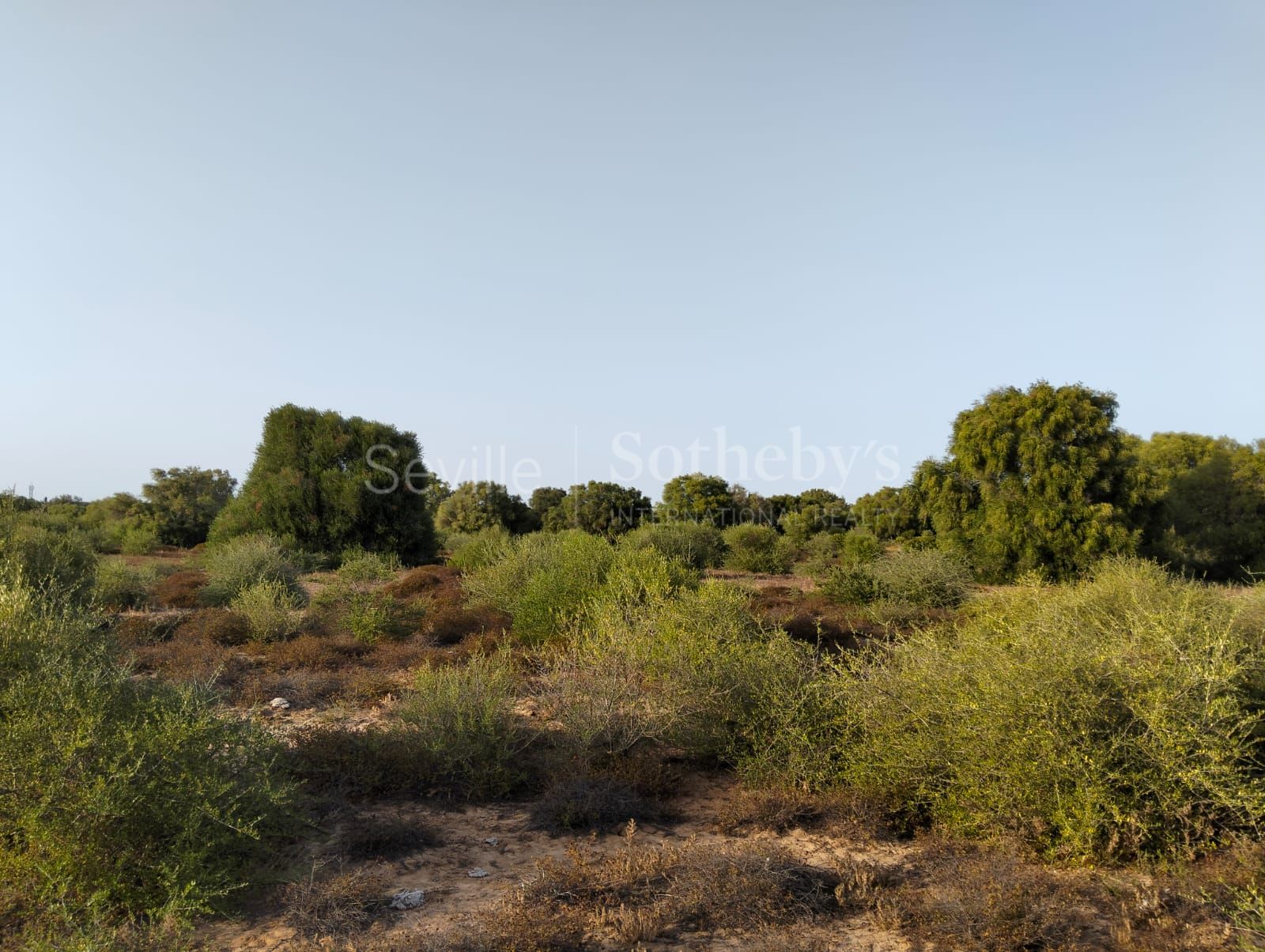 Estate in Medina Sidonia