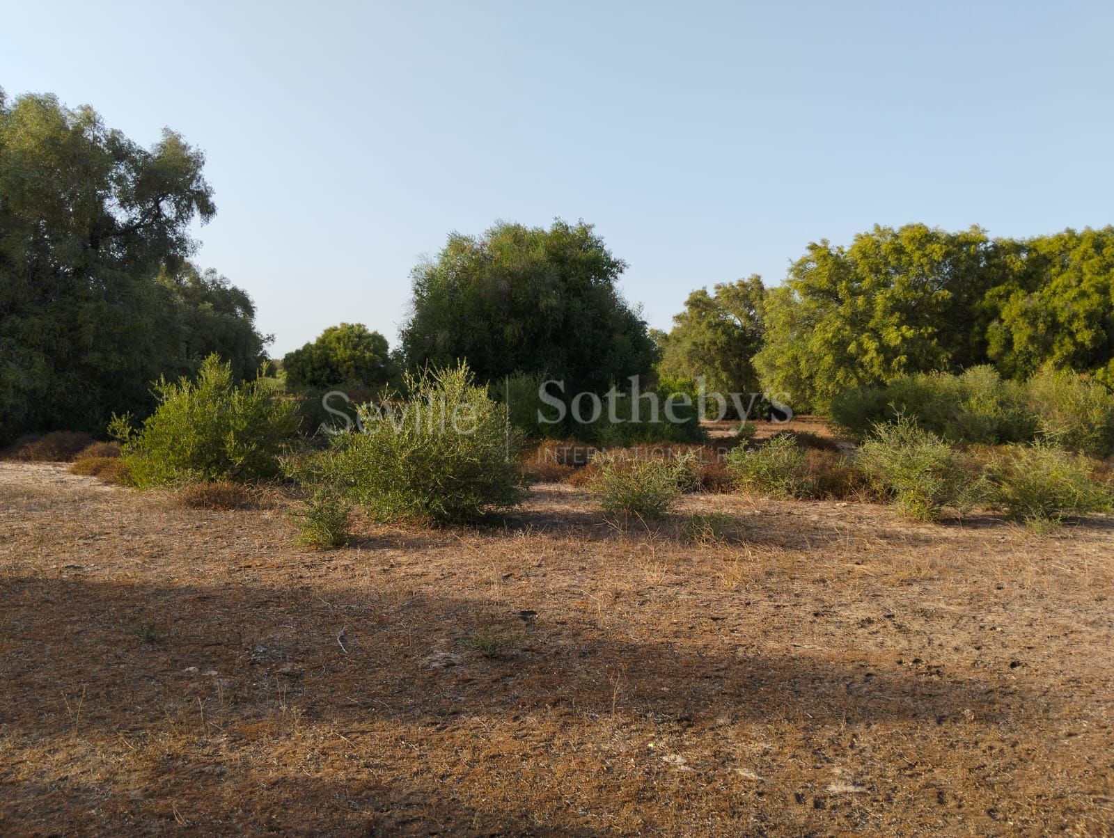 Estate in Medina Sidonia