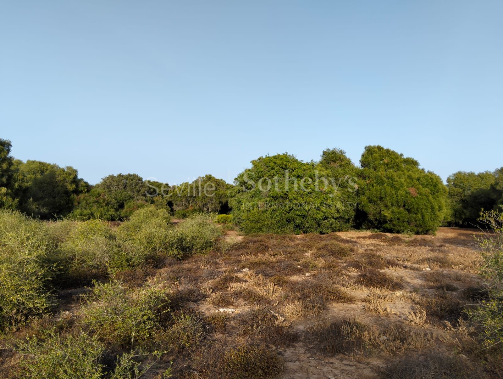 Estate in Medina Sidonia