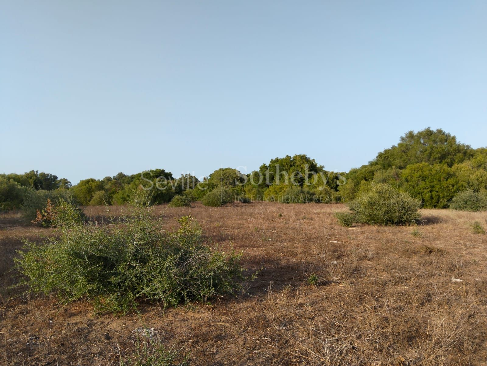 Estate in Medina Sidonia