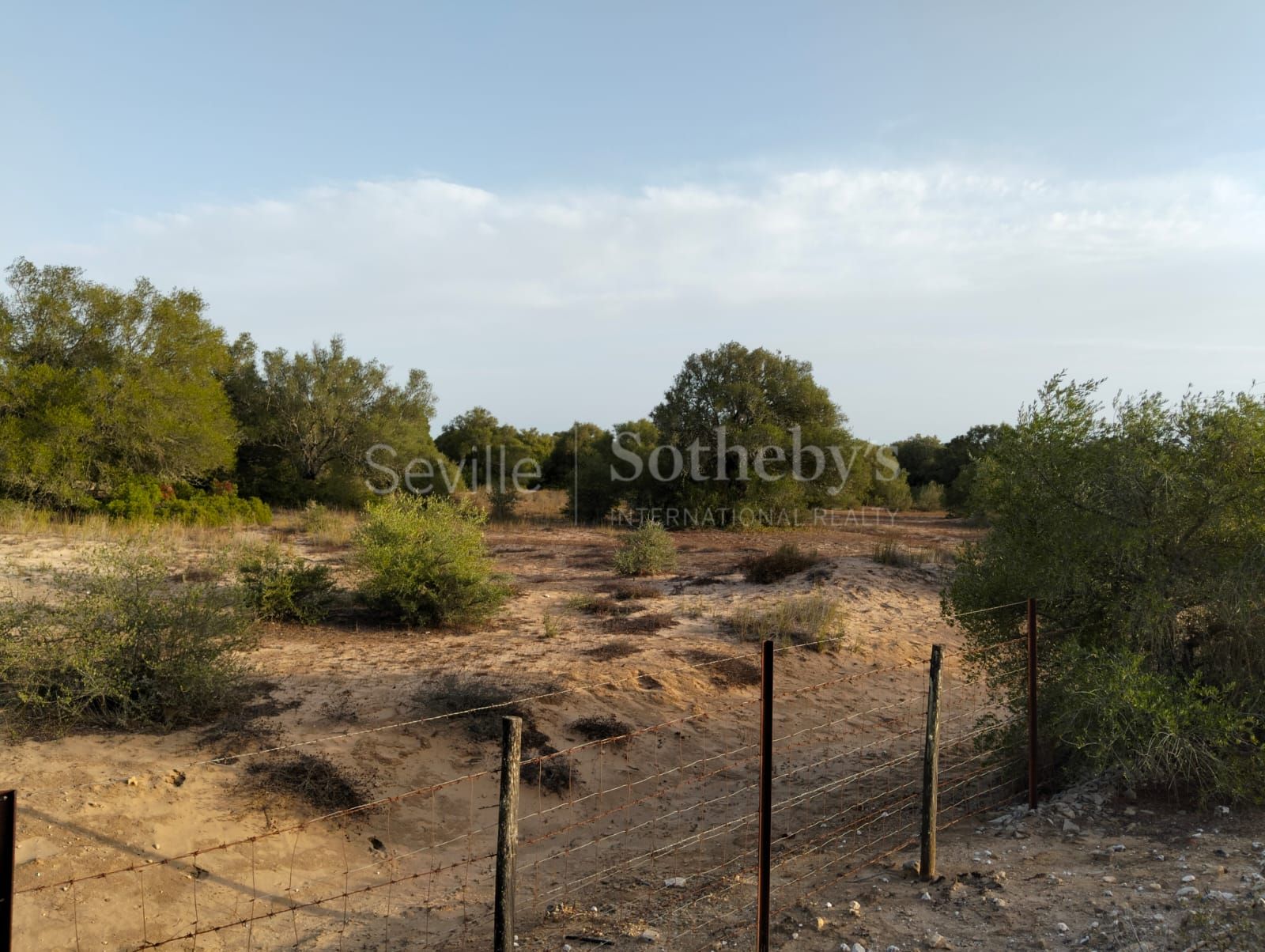 Estate in Medina Sidonia