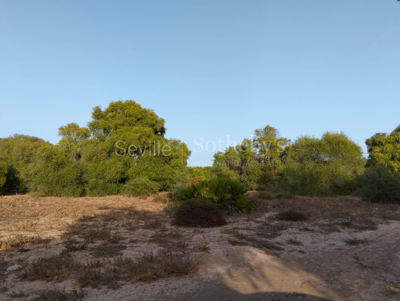 Estate in Medina Sidonia