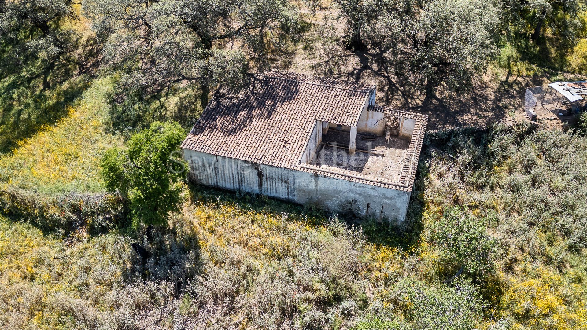 Farmhouse in Corteconcepción