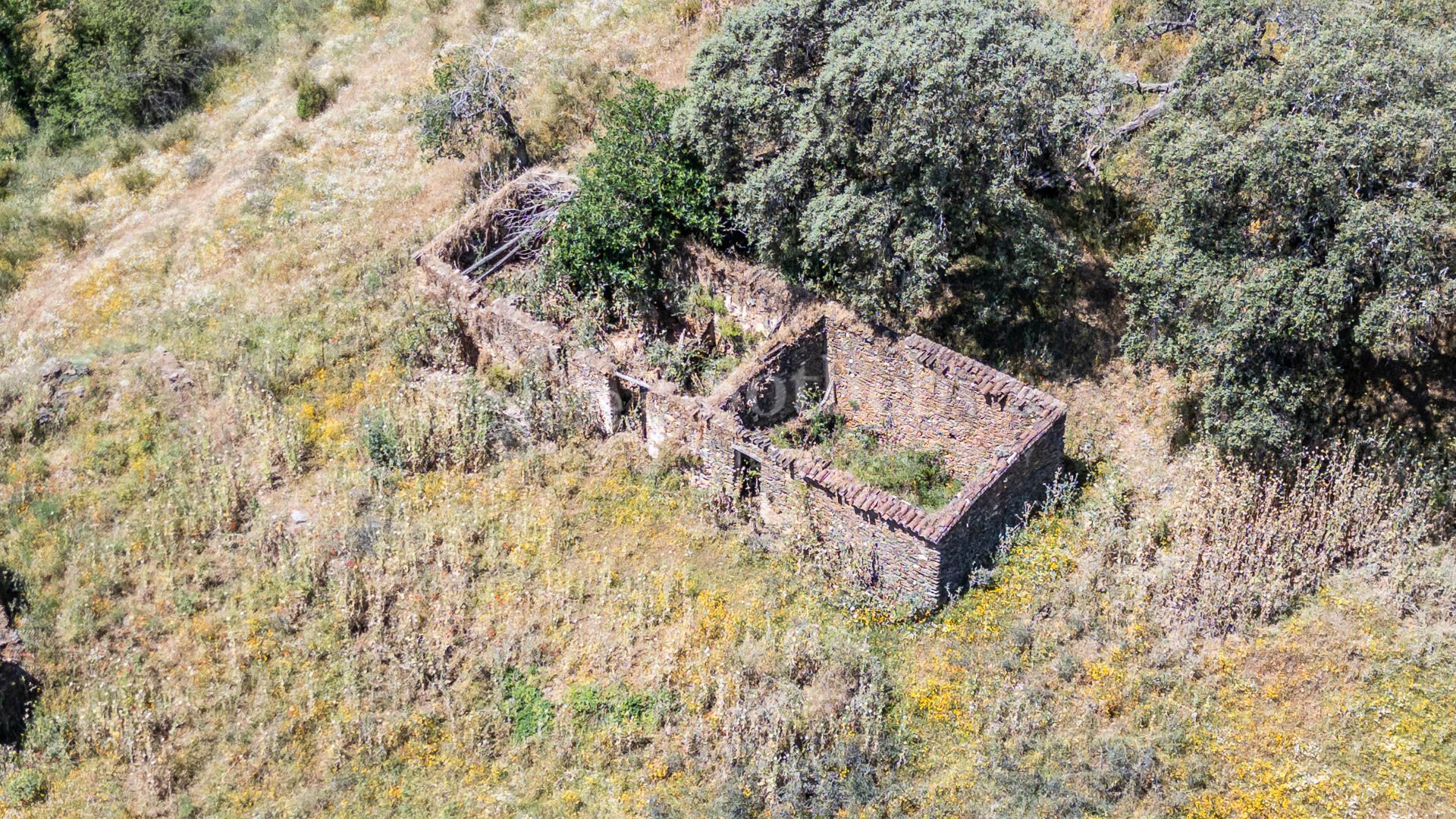 Farmhouse in Corteconcepción