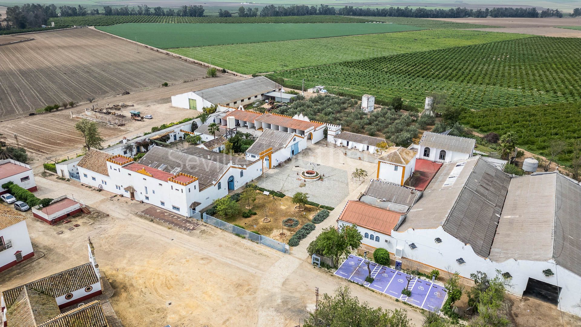 Exclusivo Cortijo de cuatro hectáreas en Carmona