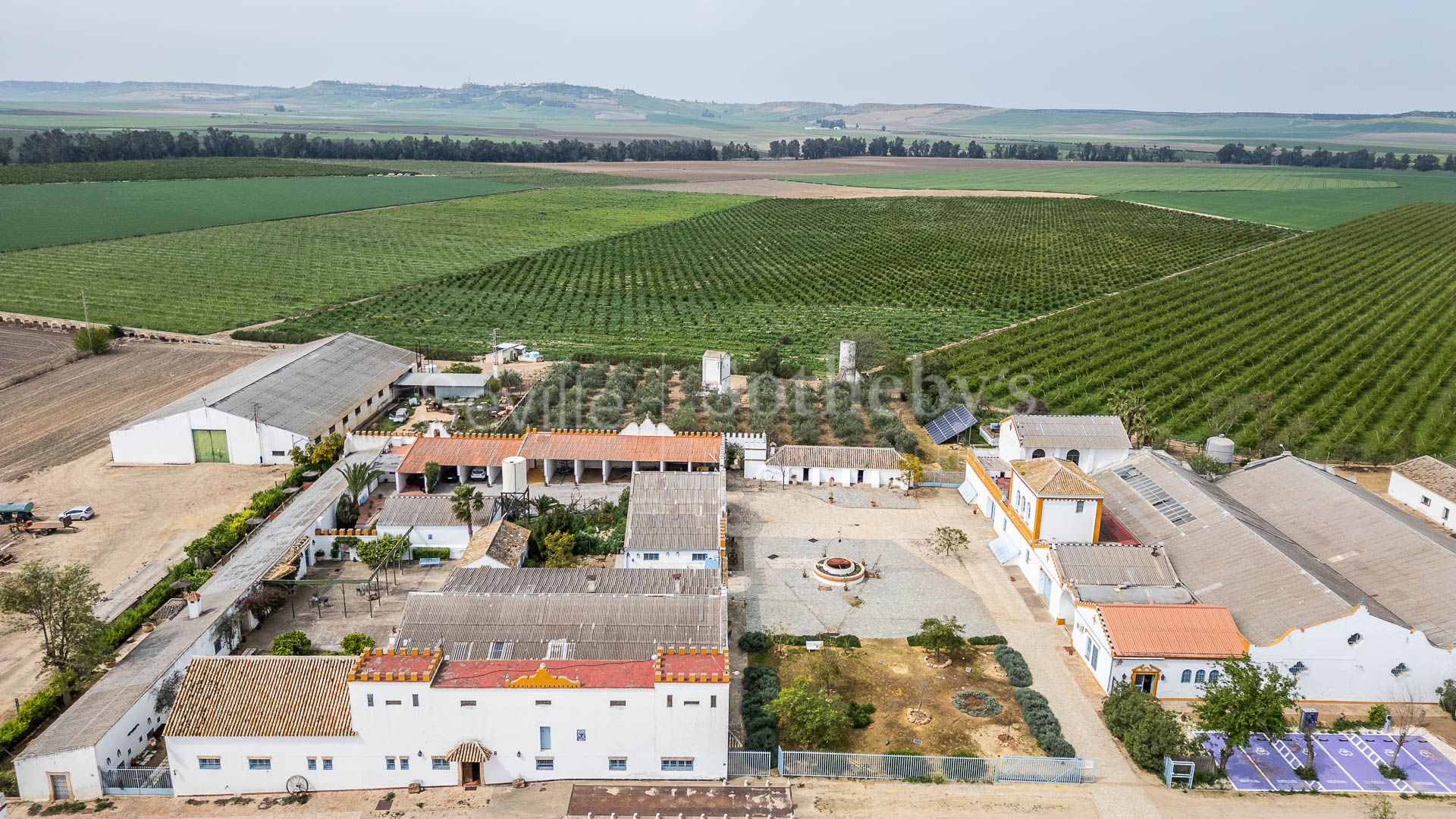 Exclusivo Cortijo de cuatro hectáreas en Carmona