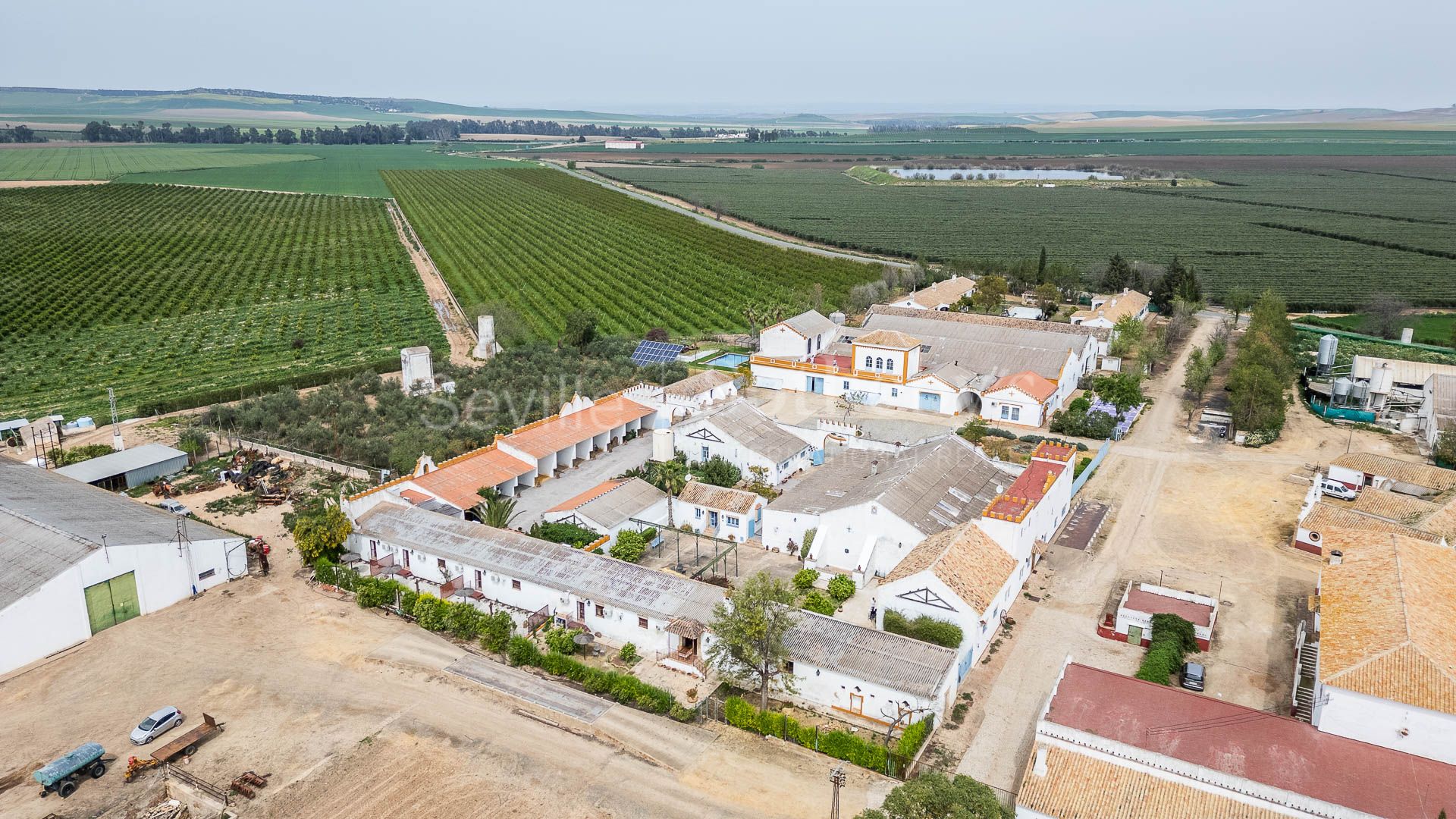 Exclusivo Cortijo de cuatro hectáreas en Carmona