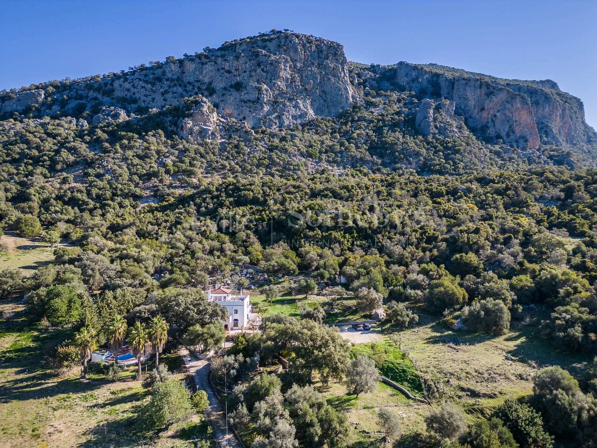 Finca con fines turísticos en El Parque natural de Grazalema