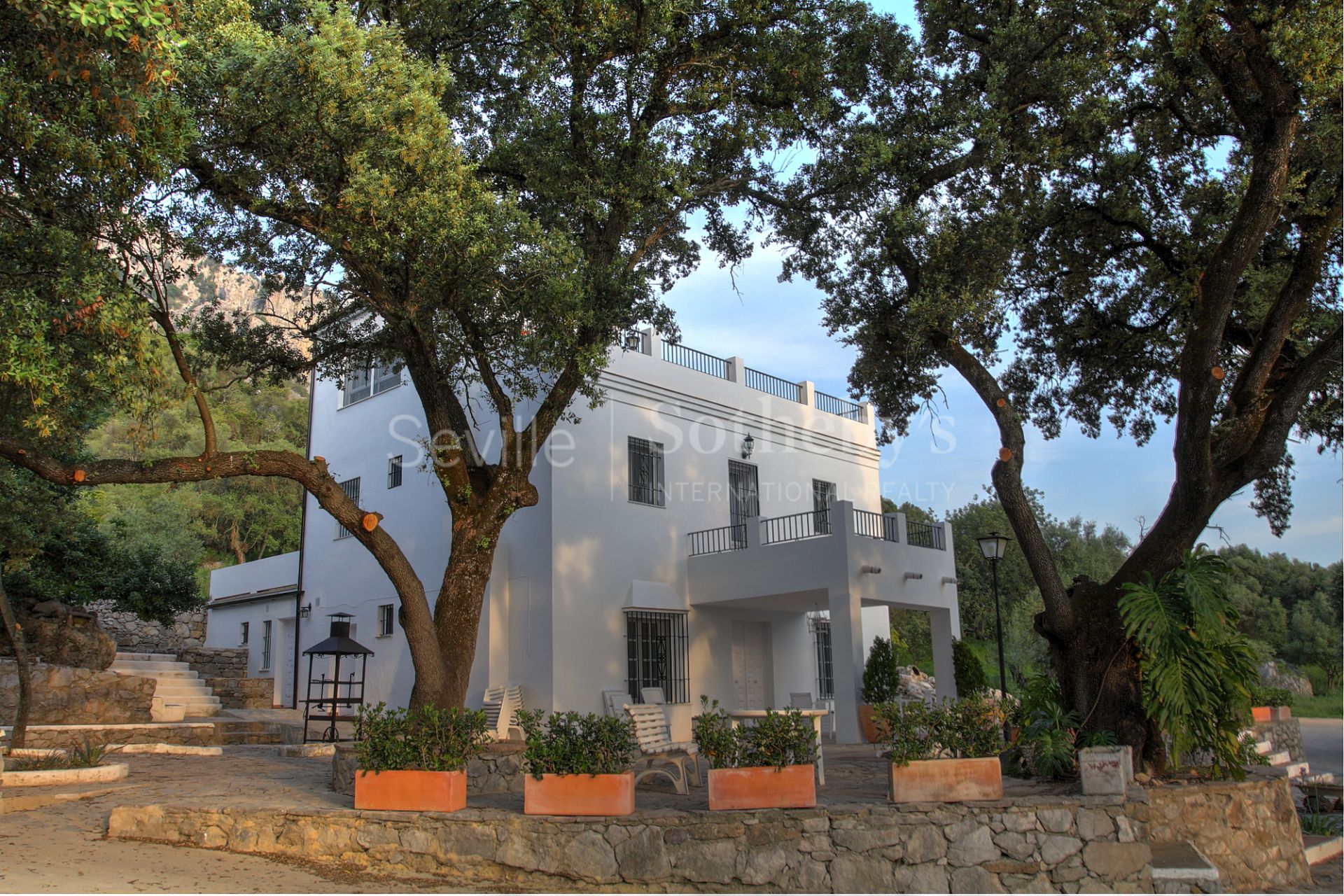 Finca con fines turísticos en El Parque natural de Grazalema