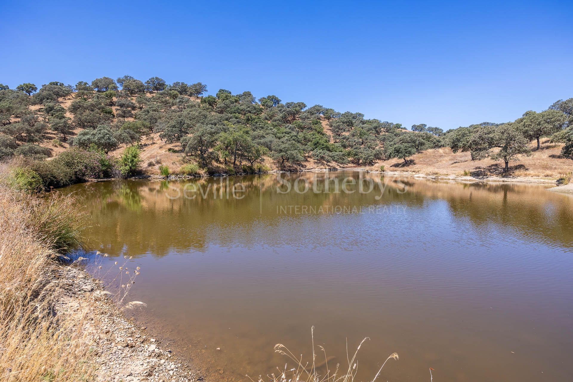 Private Estate surrounded by the Breña Reservoir and Mediterranean Forest