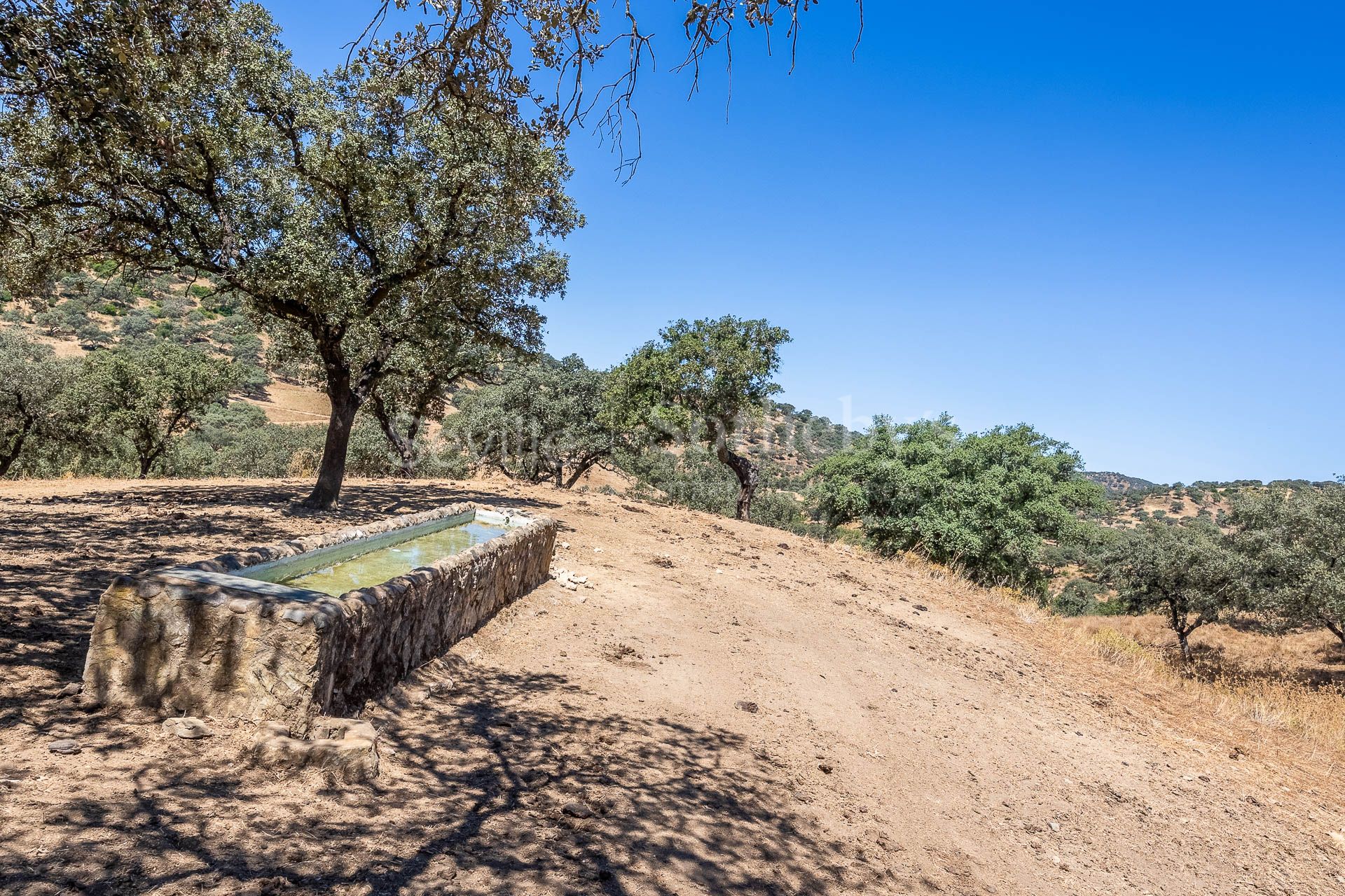 Private Estate surrounded by the Breña Reservoir and Mediterranean Forest