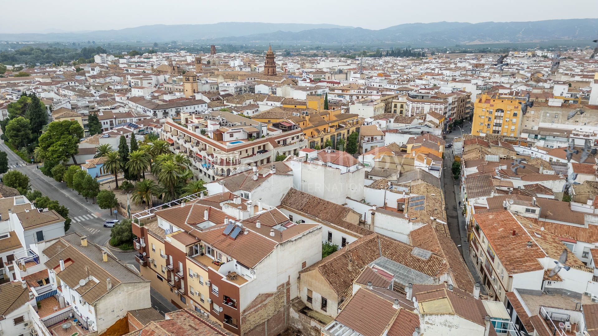 Casa palacio histórica con gran patio Andújar